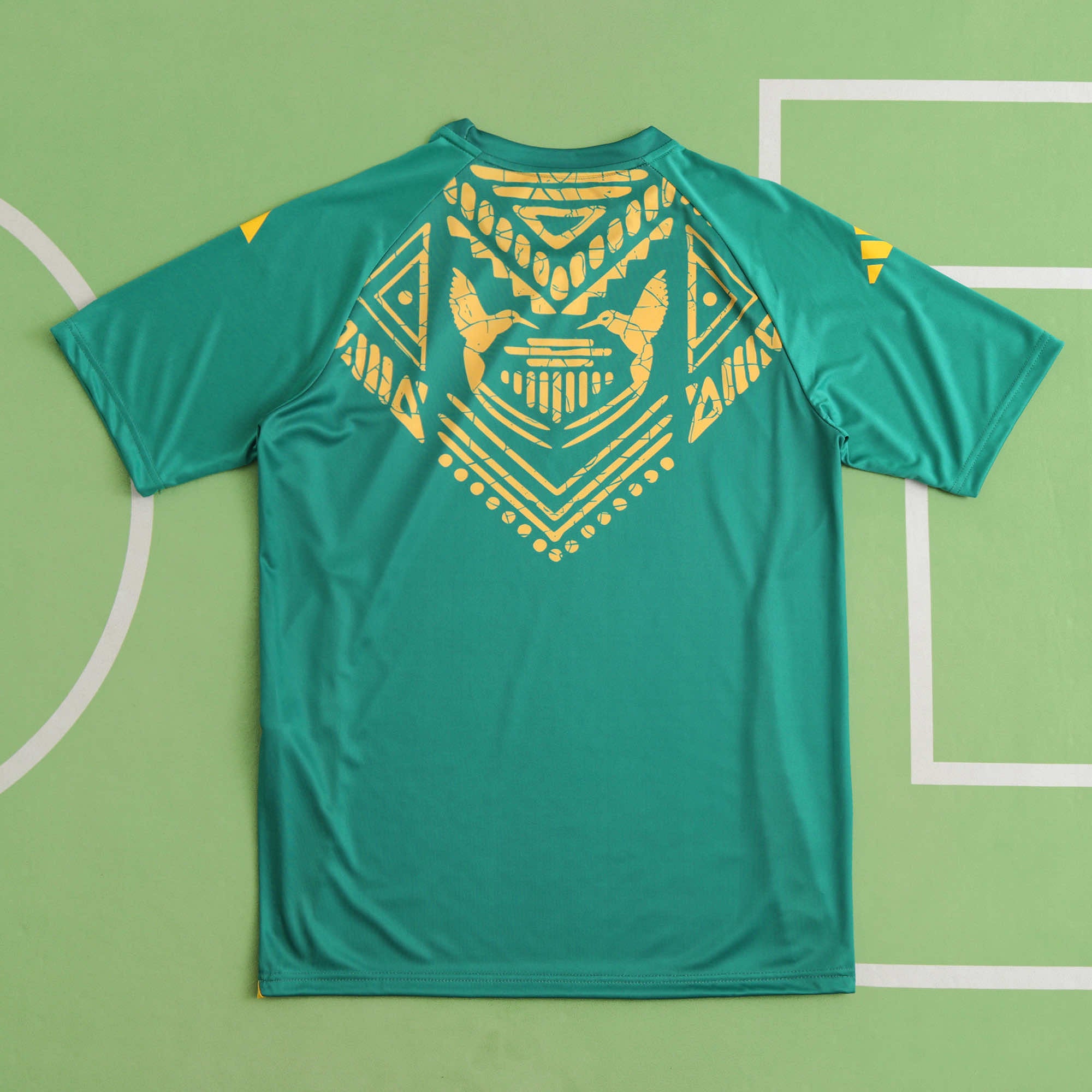 MAILLOT JAMAIQUE VERT ENTRAINEMENT FAN 2024/2025