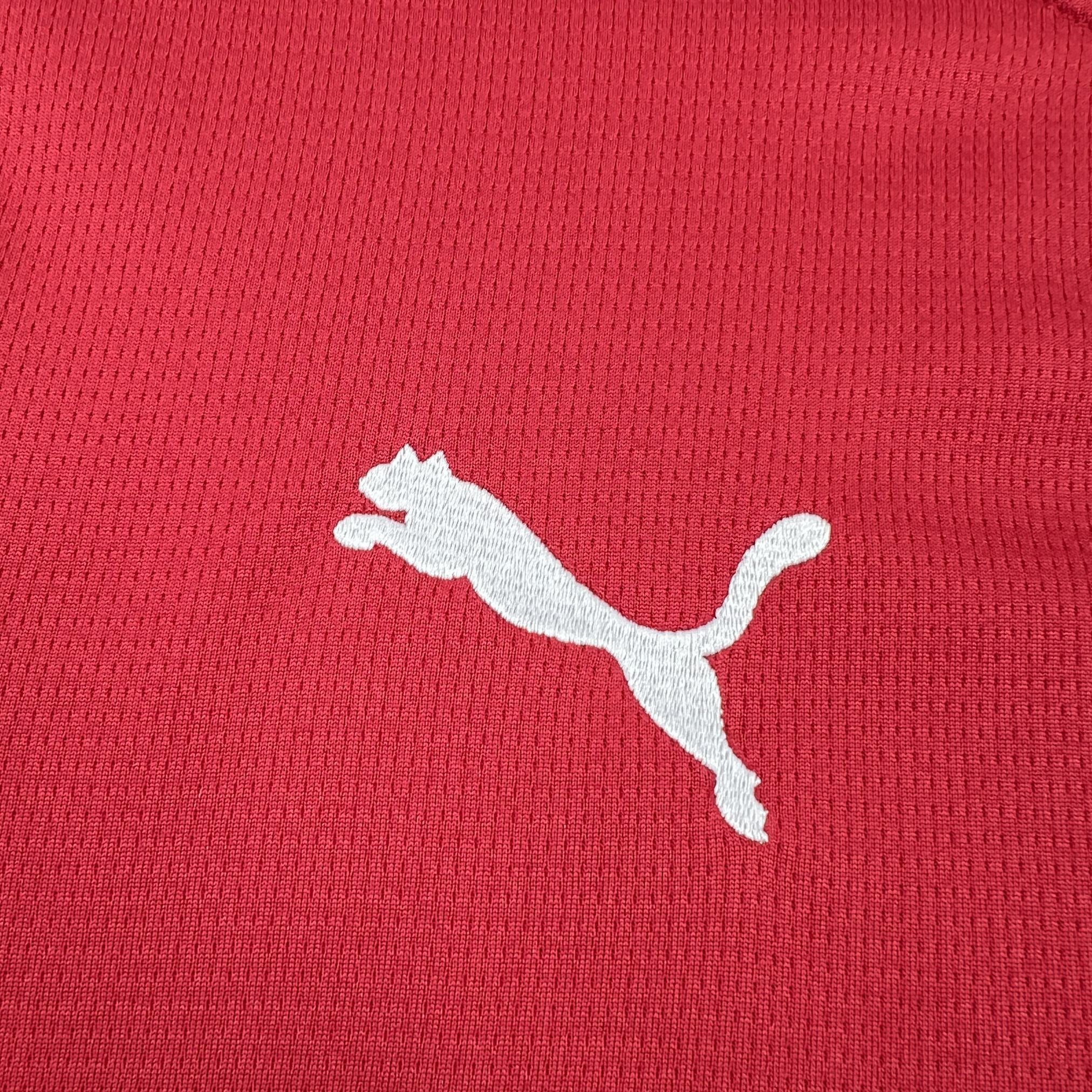 MAILLOT TCHÉQUIE DOMICILE FAN COUPE DU MONDE 2026