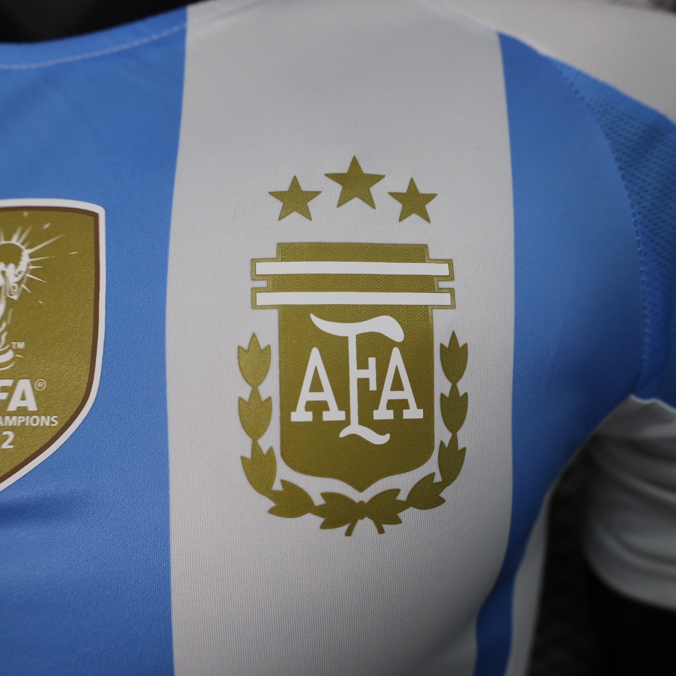 MAILLOT ARGENTINE DOMICILE PLAYER 2024/2025