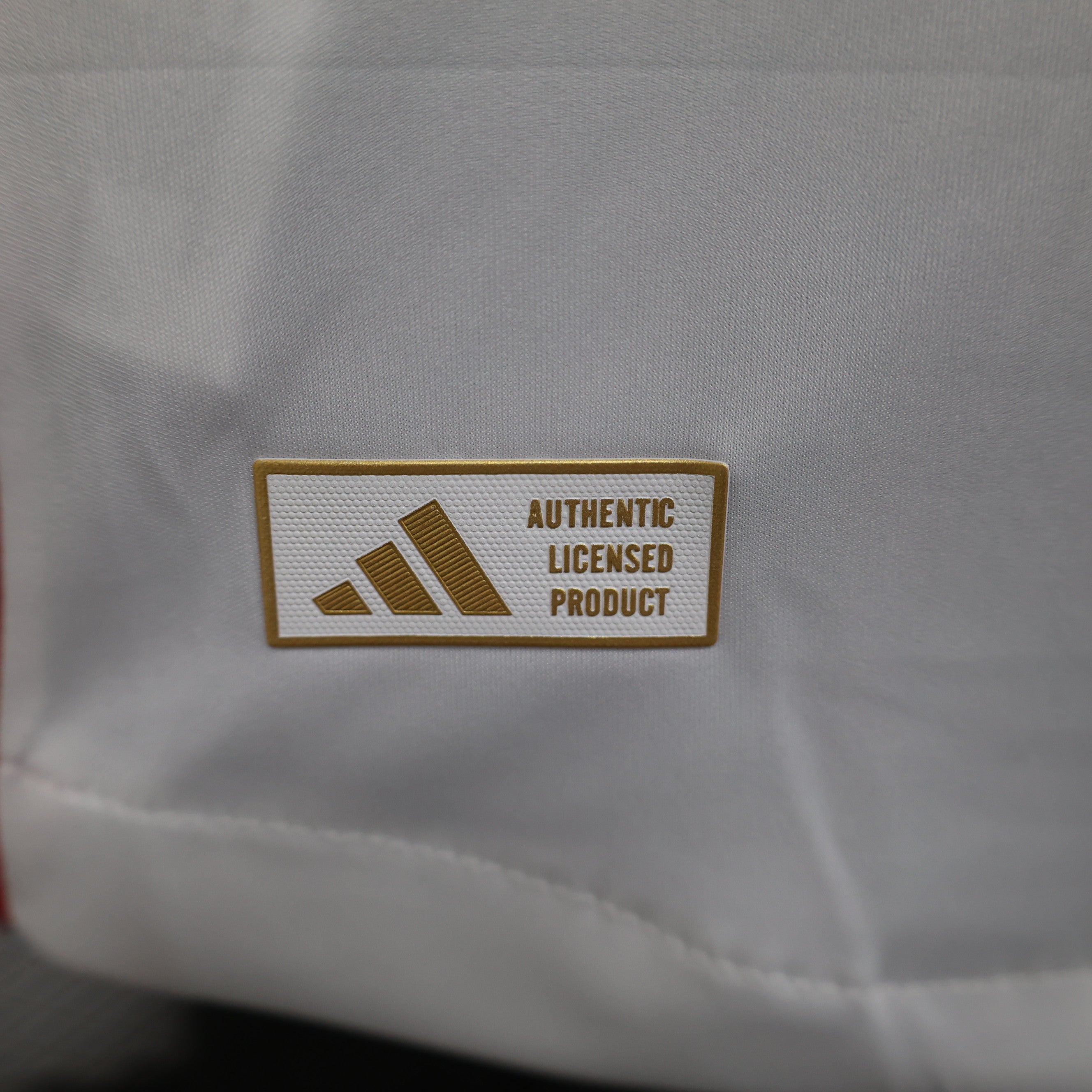 MAILLOT OLYMPIQUE LYONNAIS DOMICILE PLAYER 2024/2025