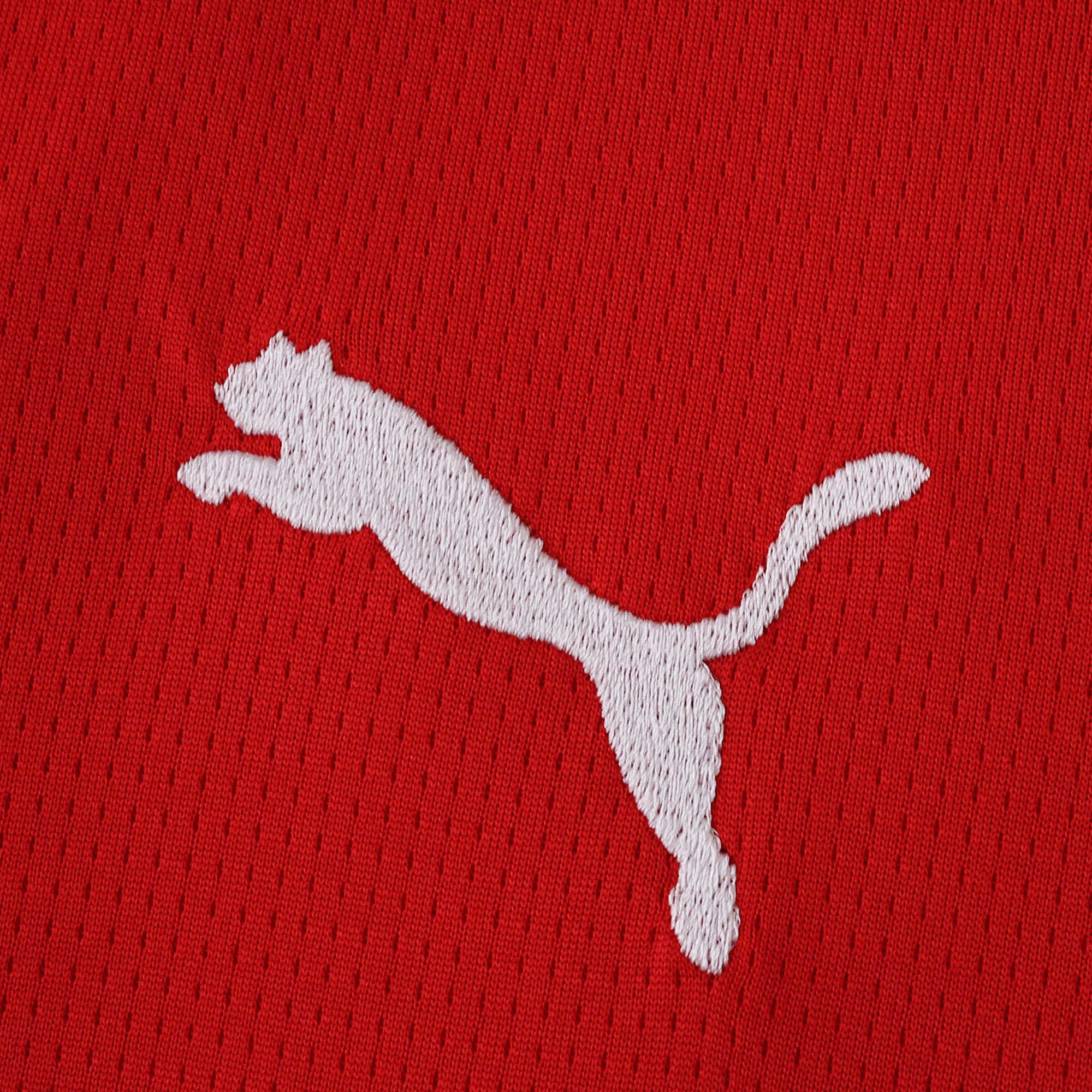 MAILLOT STADE RENNAIS DOMICILE FAN 2025/2026