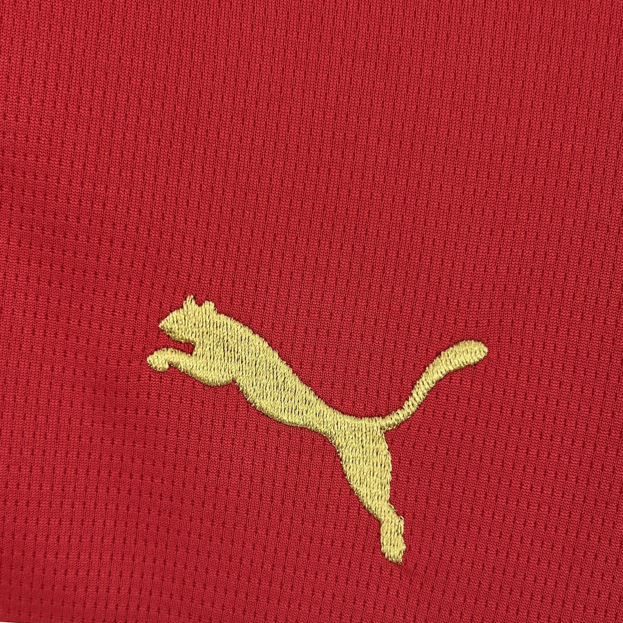 MAILLOT MAROC DOMICILE FAN COUPE DU MONDE 2026