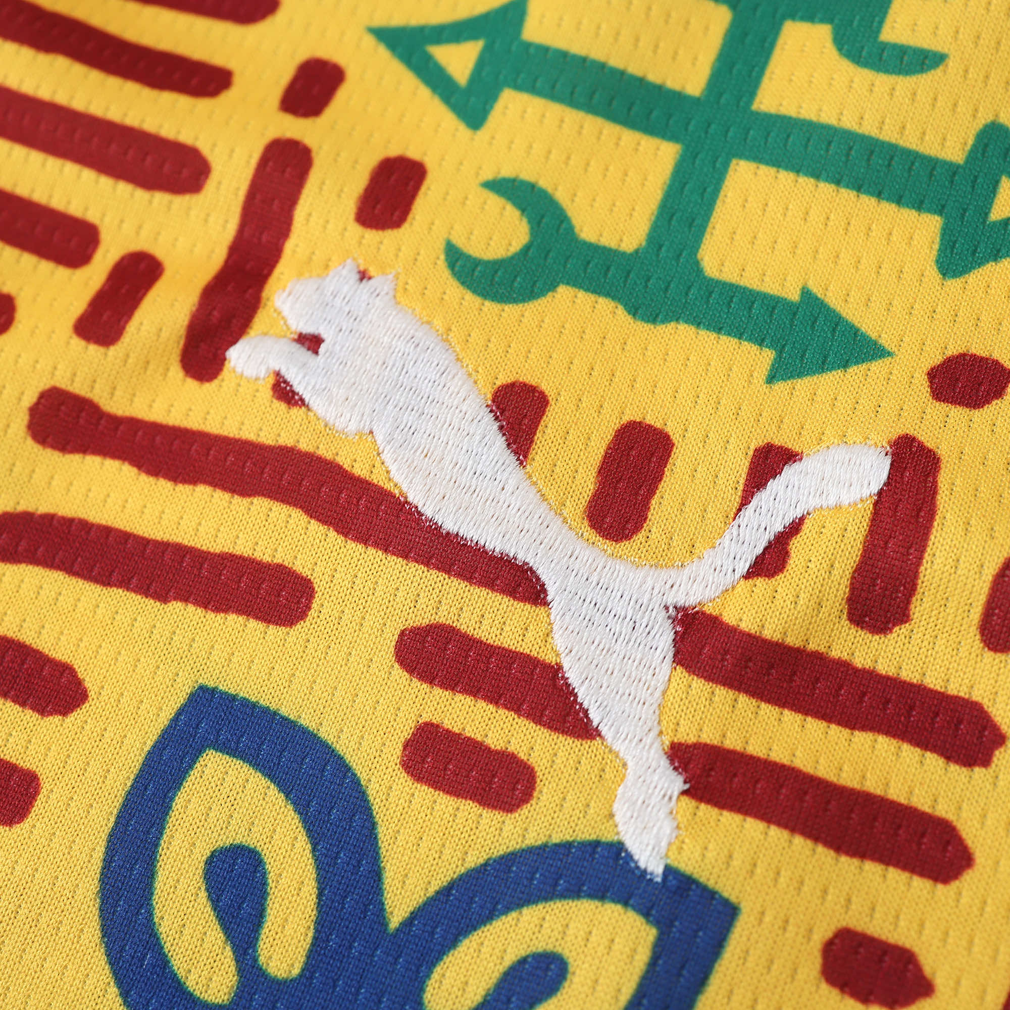 MAILLOT GHANA ENTRAINEMENT FAN 2024/2025