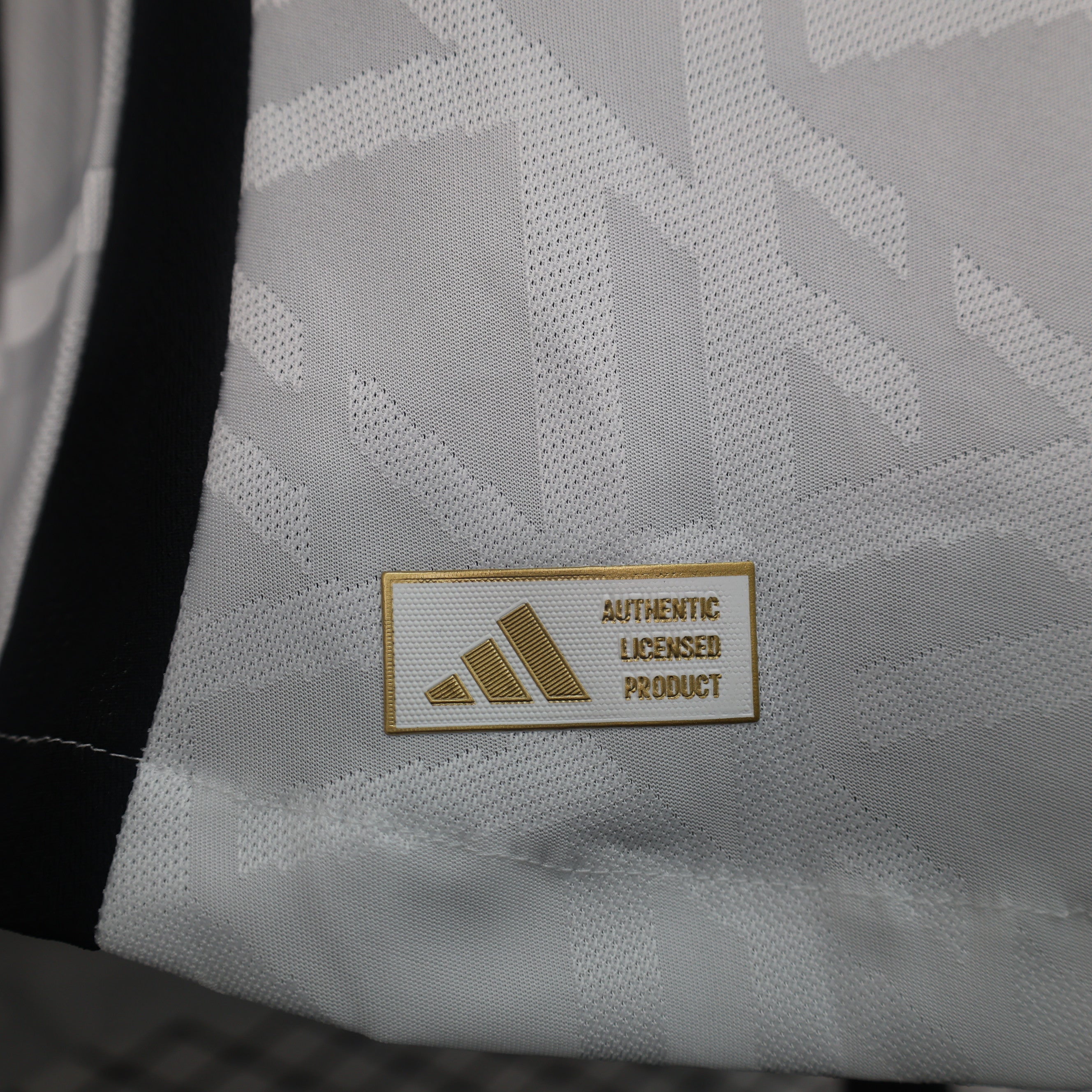 MAILLOT ALLEMAGNE DOMICILE PLAYER 2024/2025