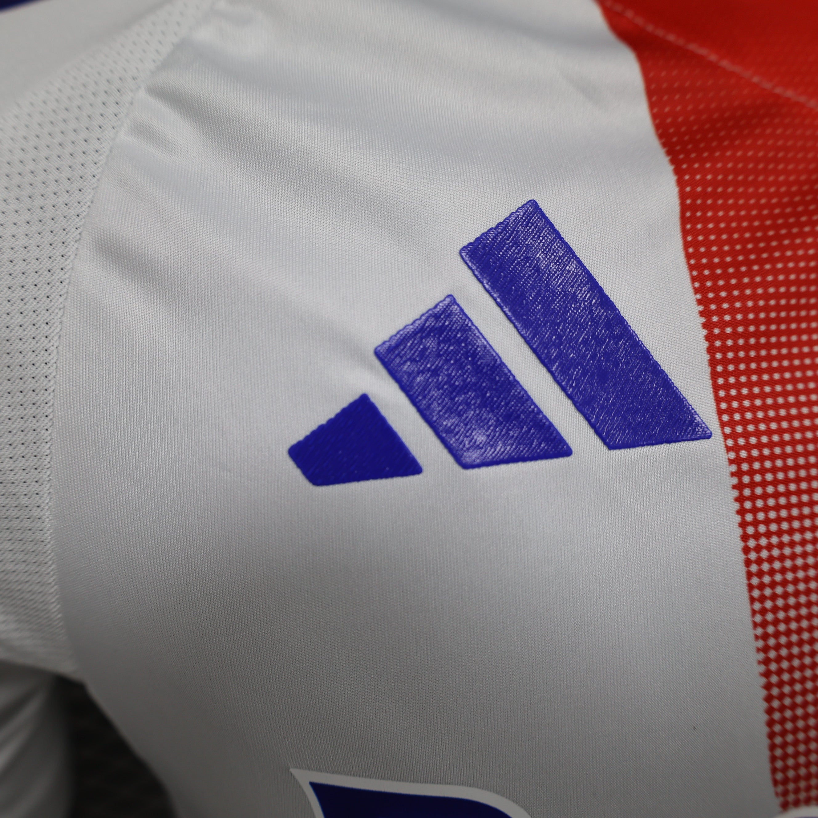 MAILLOT OLYMPIQUE LYONNAIS DOMICILE PLAYER 2024/2025