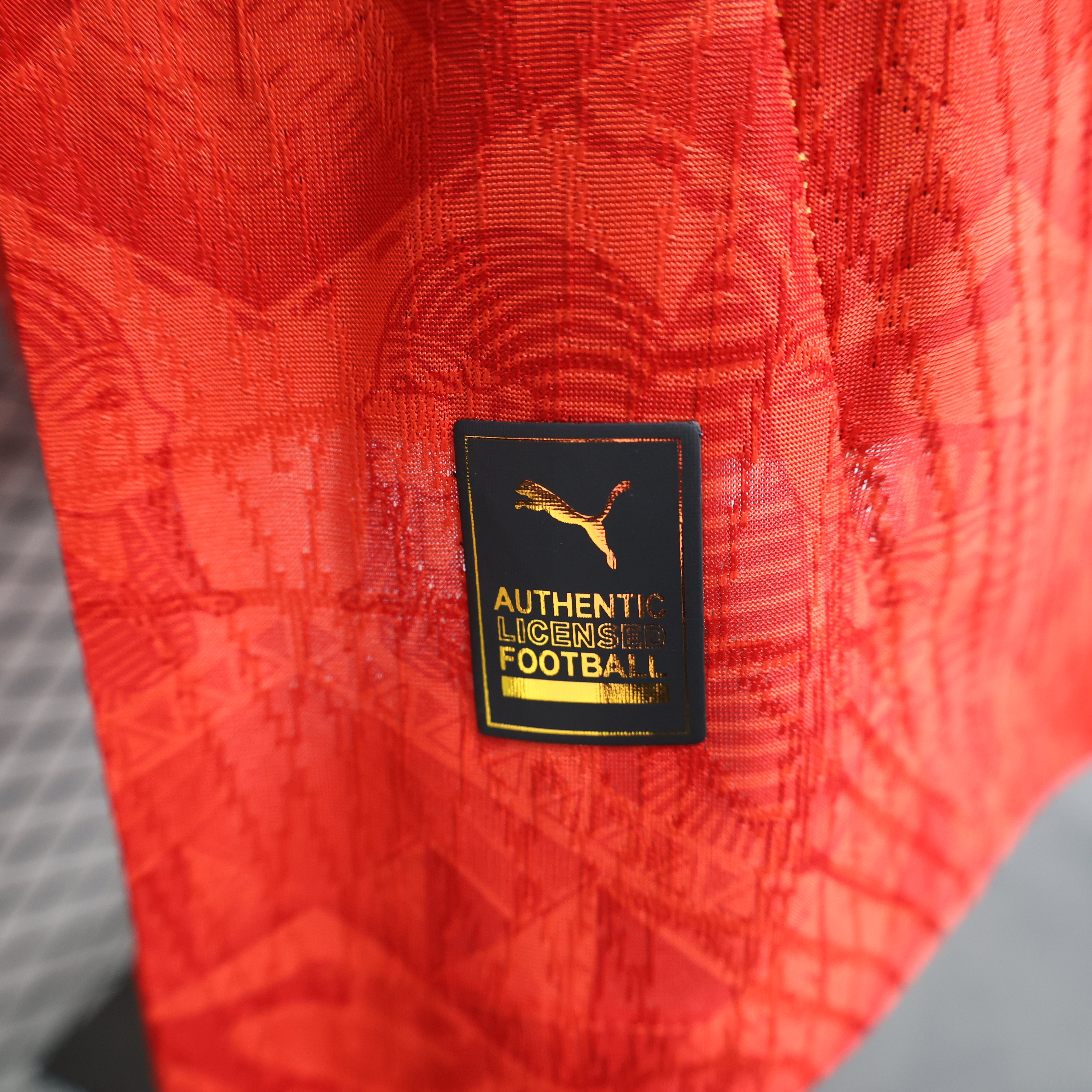 MAILLOT ÉGYPTE DOMICILE PLAYER 2024/2025