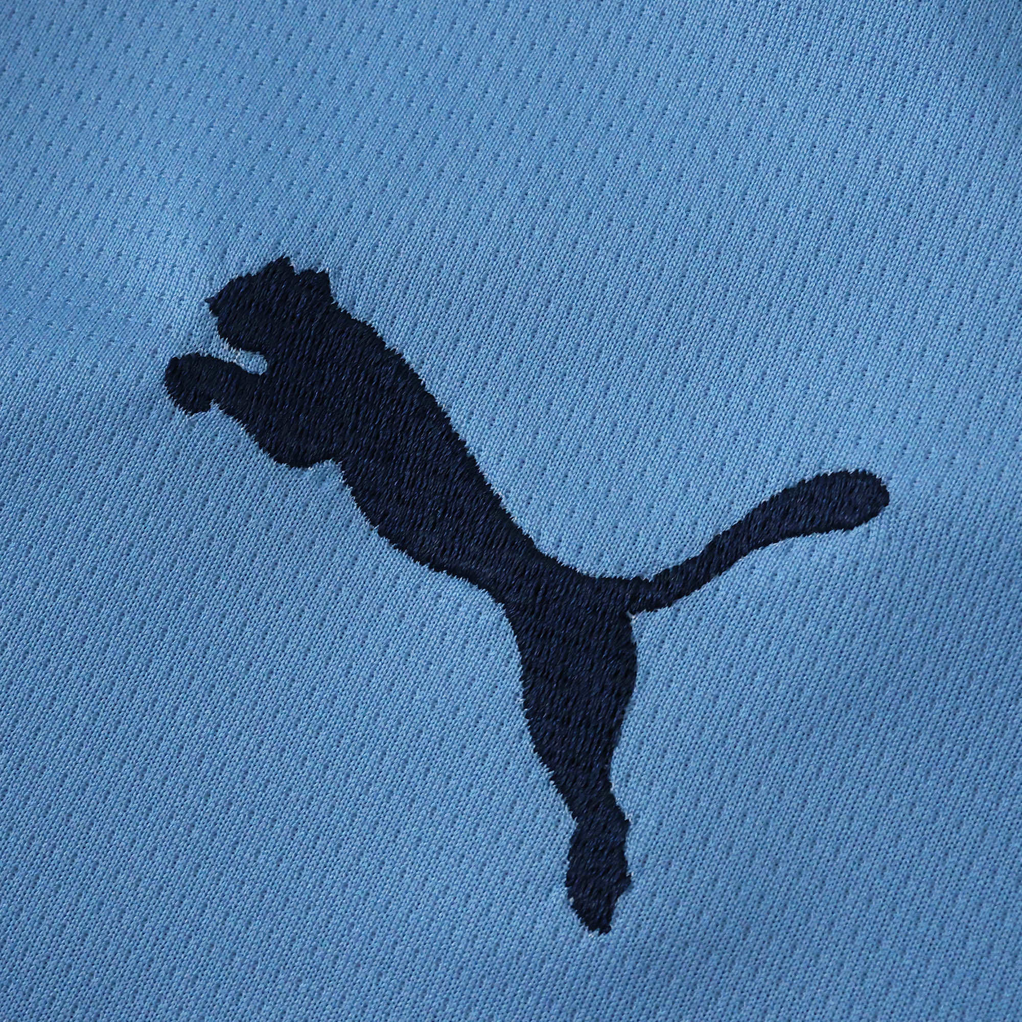 MAILLOT MANCHESTER CITY DOMICILE FAN 2025/2026