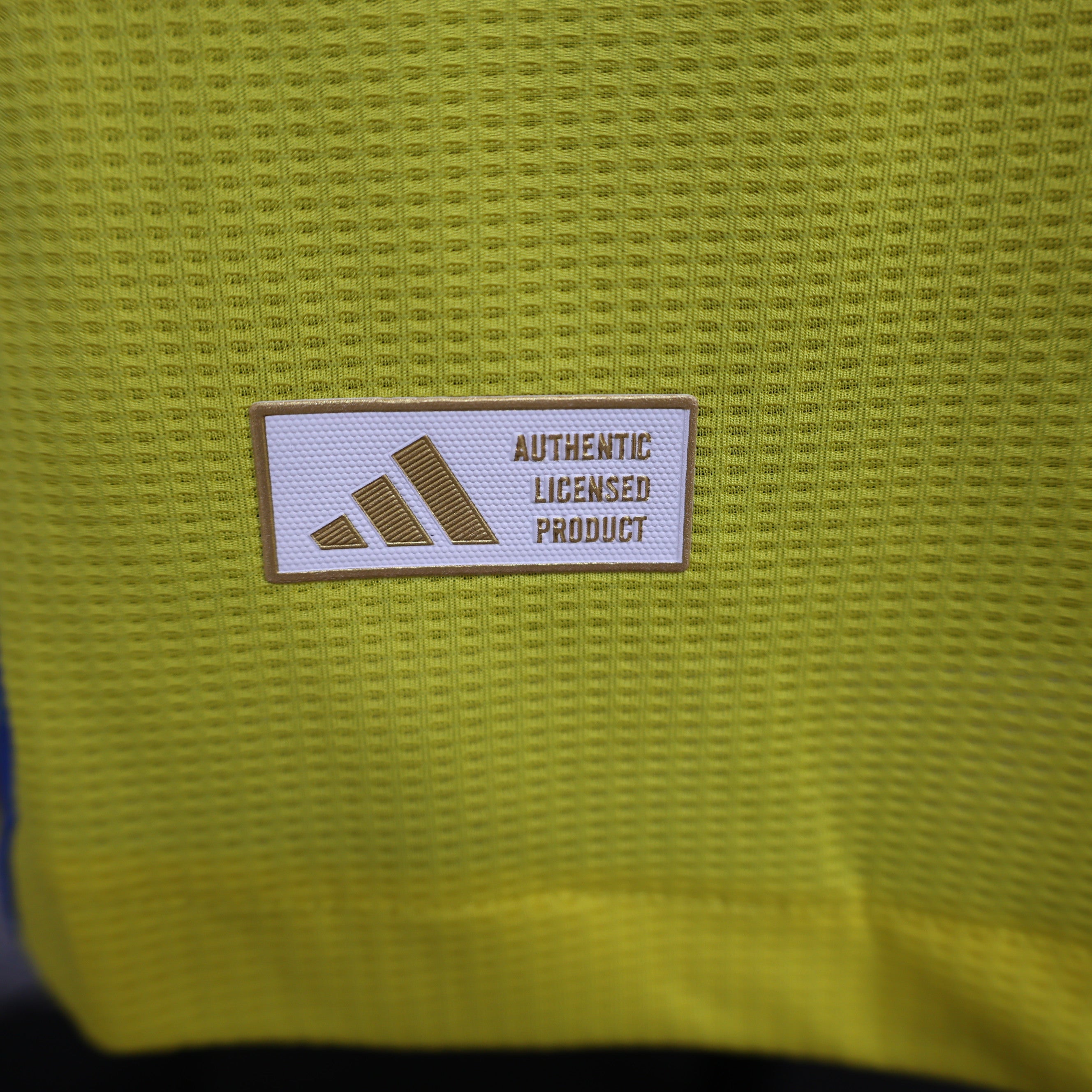 MAILLOT AL NASSR DOMICILE PLAYER 2024/2025