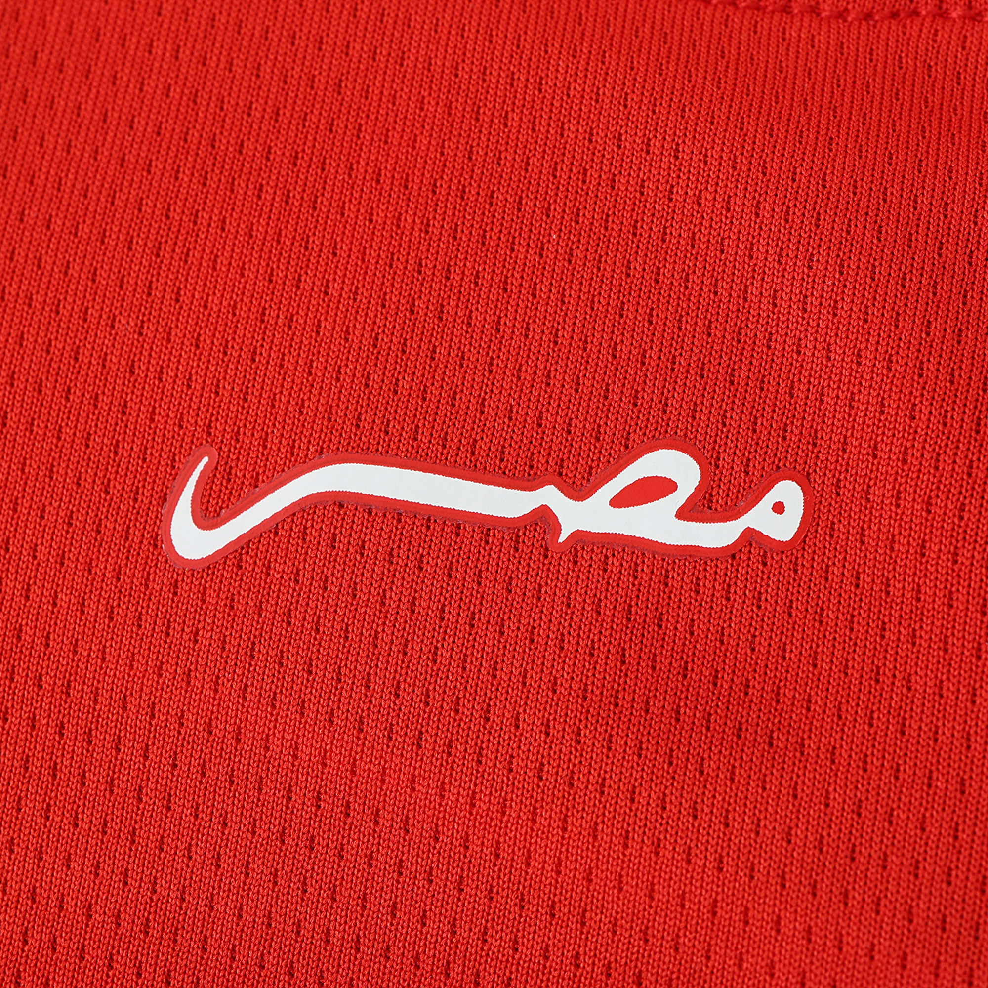 MAILLOT ÉGYPTE DOMICILE FAN 2024/2025