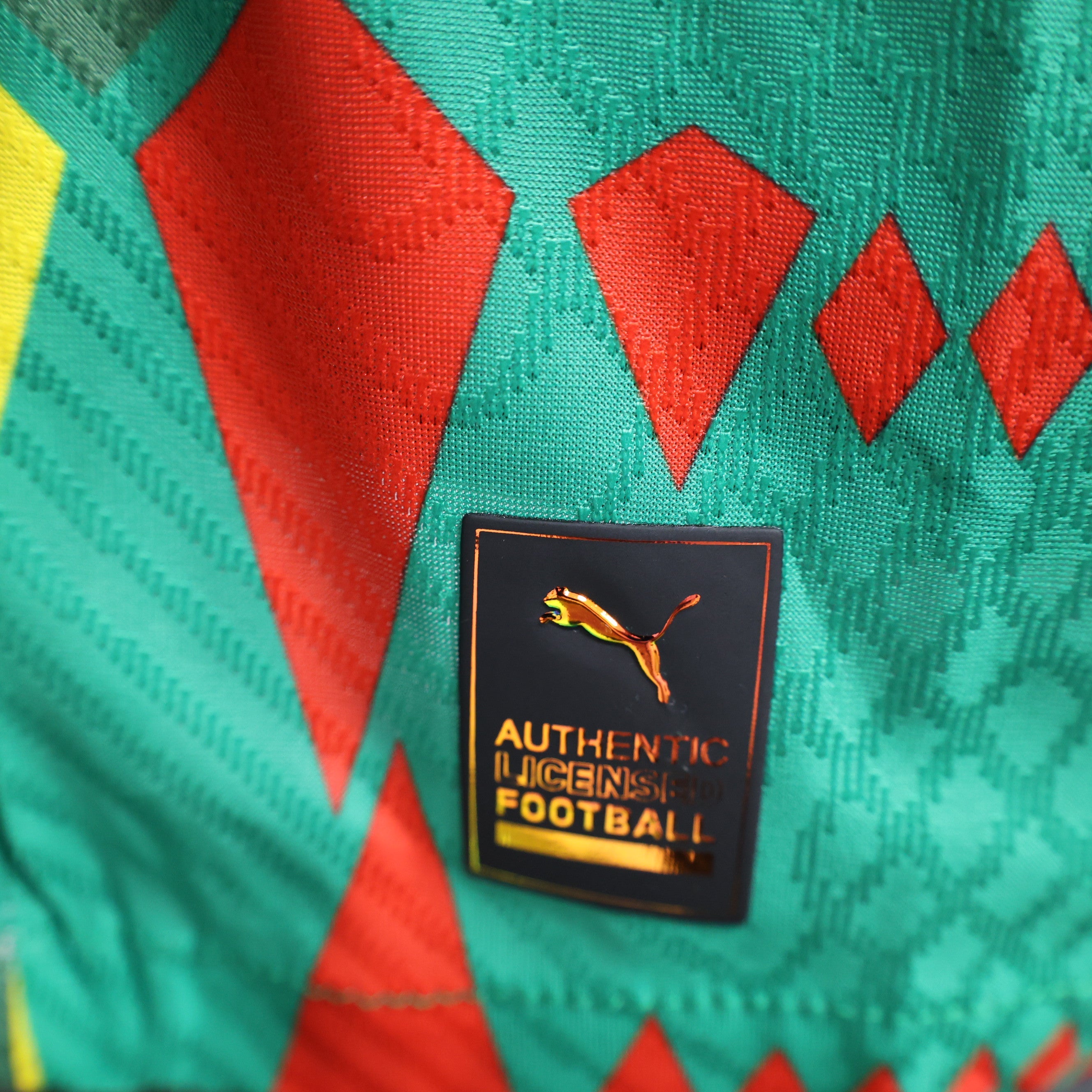 MAILLOT SENEGAL VERT PLAYER 2023/2024