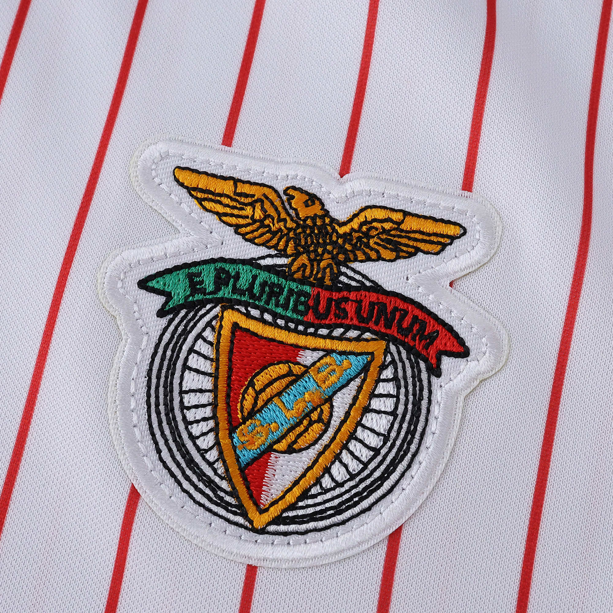 MAILLOT BENFICA CONCEPT FAN 2025/2026