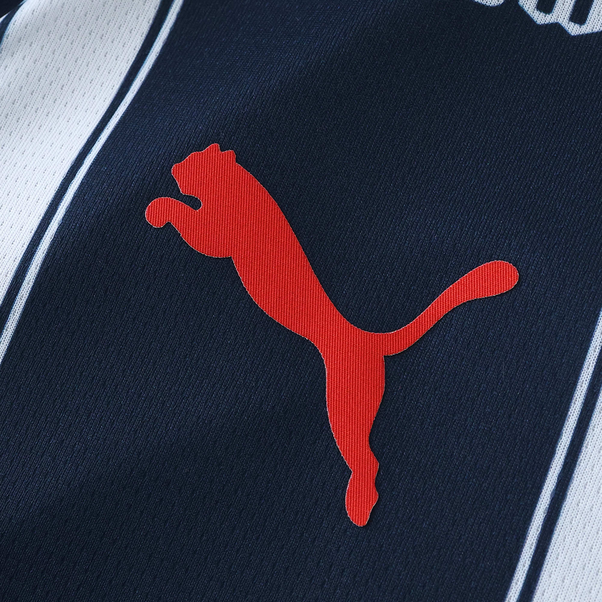 MAILLOT CF MONTERREY DOMICILE FAN 2024/2025