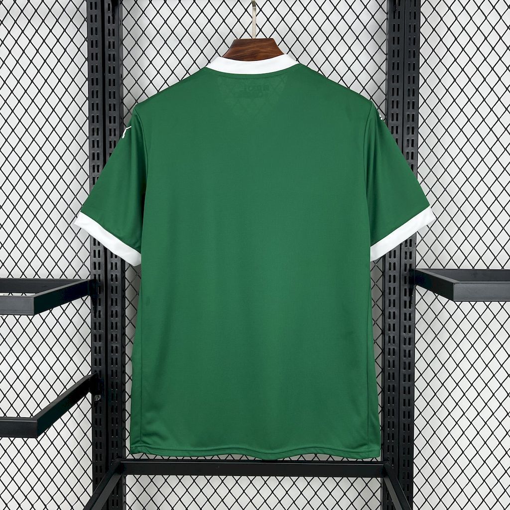 MAILLOT PALMEIRAS DOMICILE FAN 2025/2026