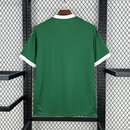 MAILLOT PALMEIRAS DOMICILE FAN 2025/2026