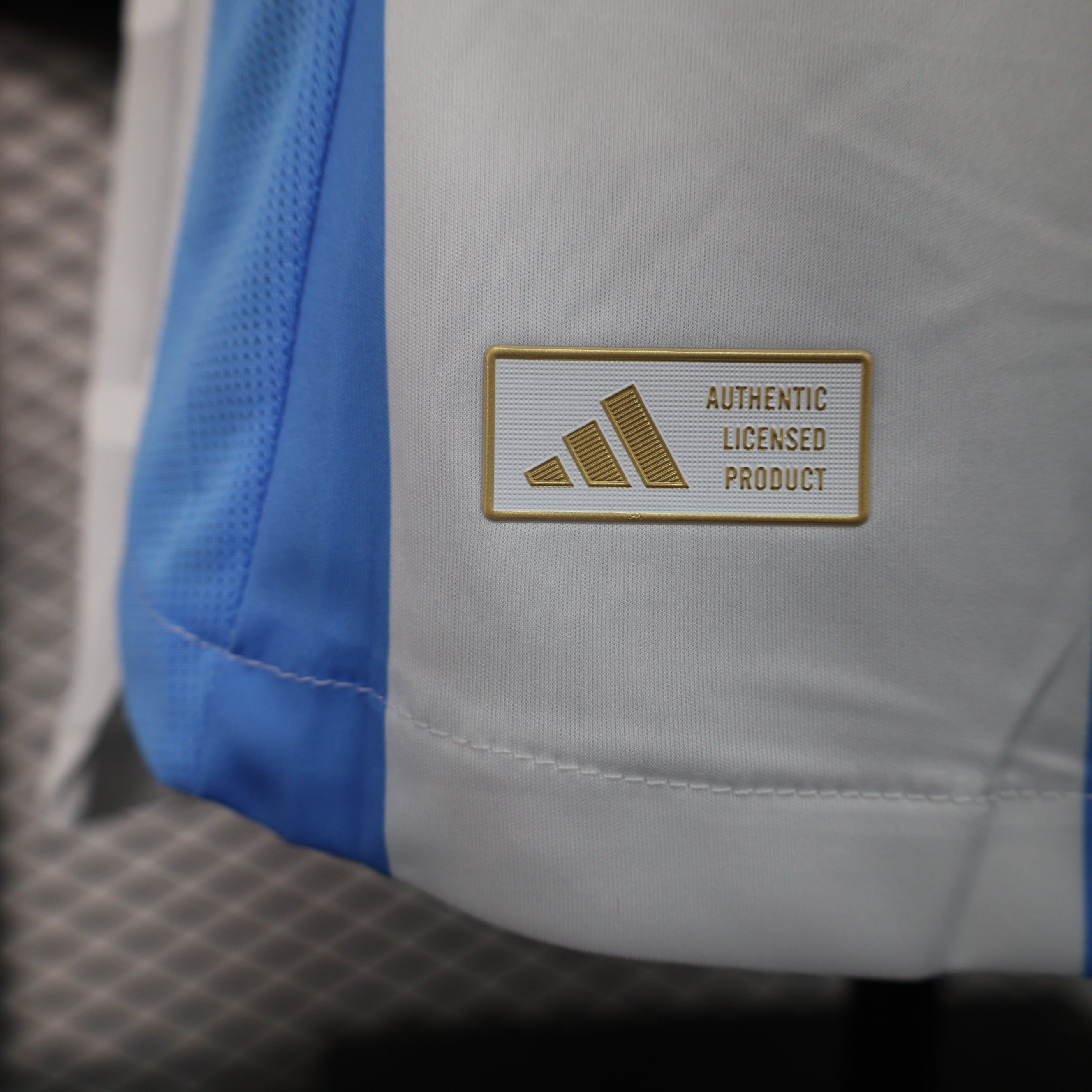 MAILLOT ARGENTINE DOMICILE PLAYER 2024/2025