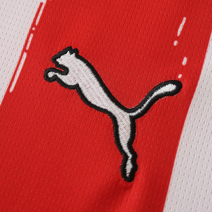 MAILLOT PSV EINDHOVEN DOMICILE FAN 2024/2025