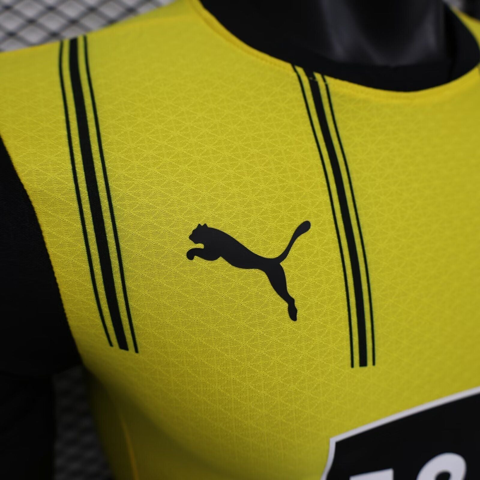 MAILLOT DORTMUND DOMICILE PLAYER 2024/2025