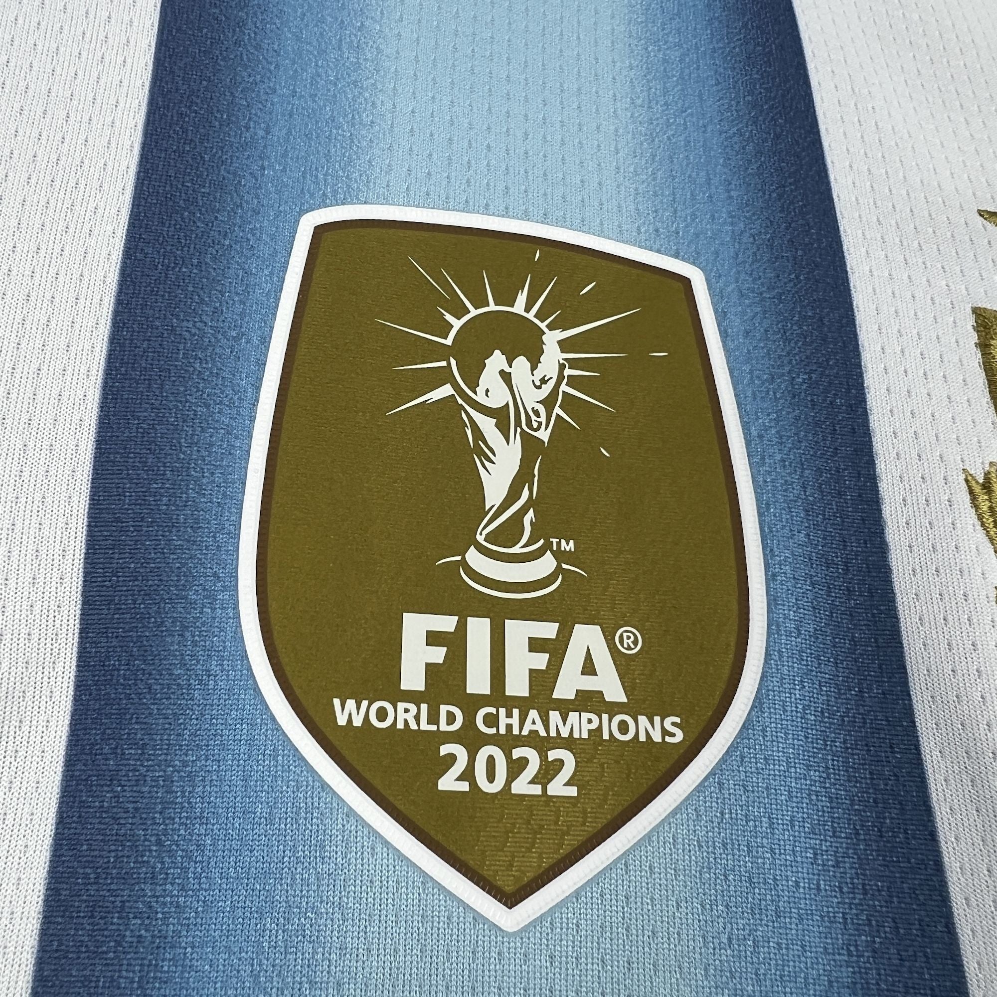 MAILLOT ARGENTINE DOMICILE FAN COUPE DU MONDE 2026