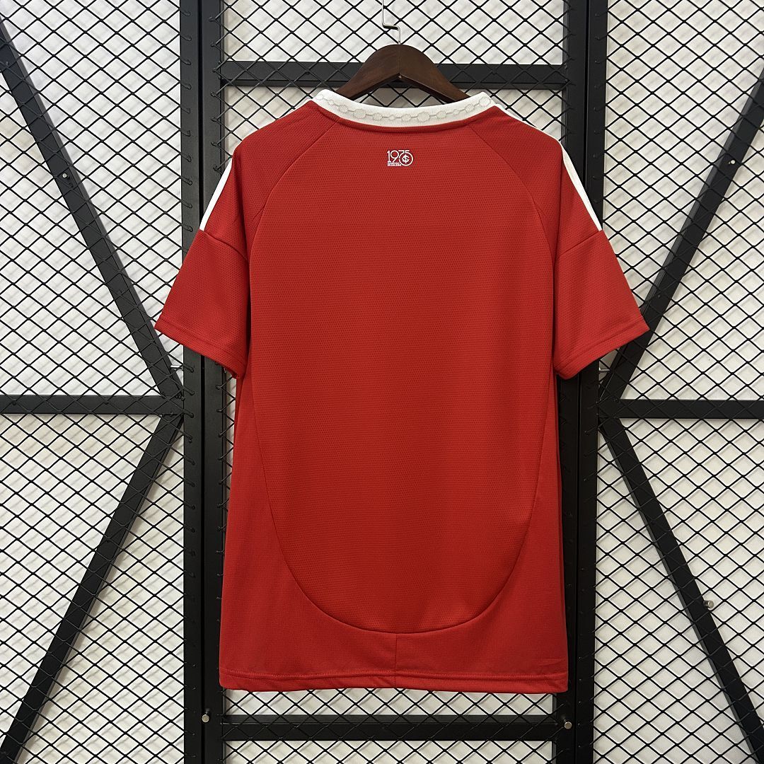 MAILLOT INTERNACIONAL DOMICILE FAN 2025/2026
