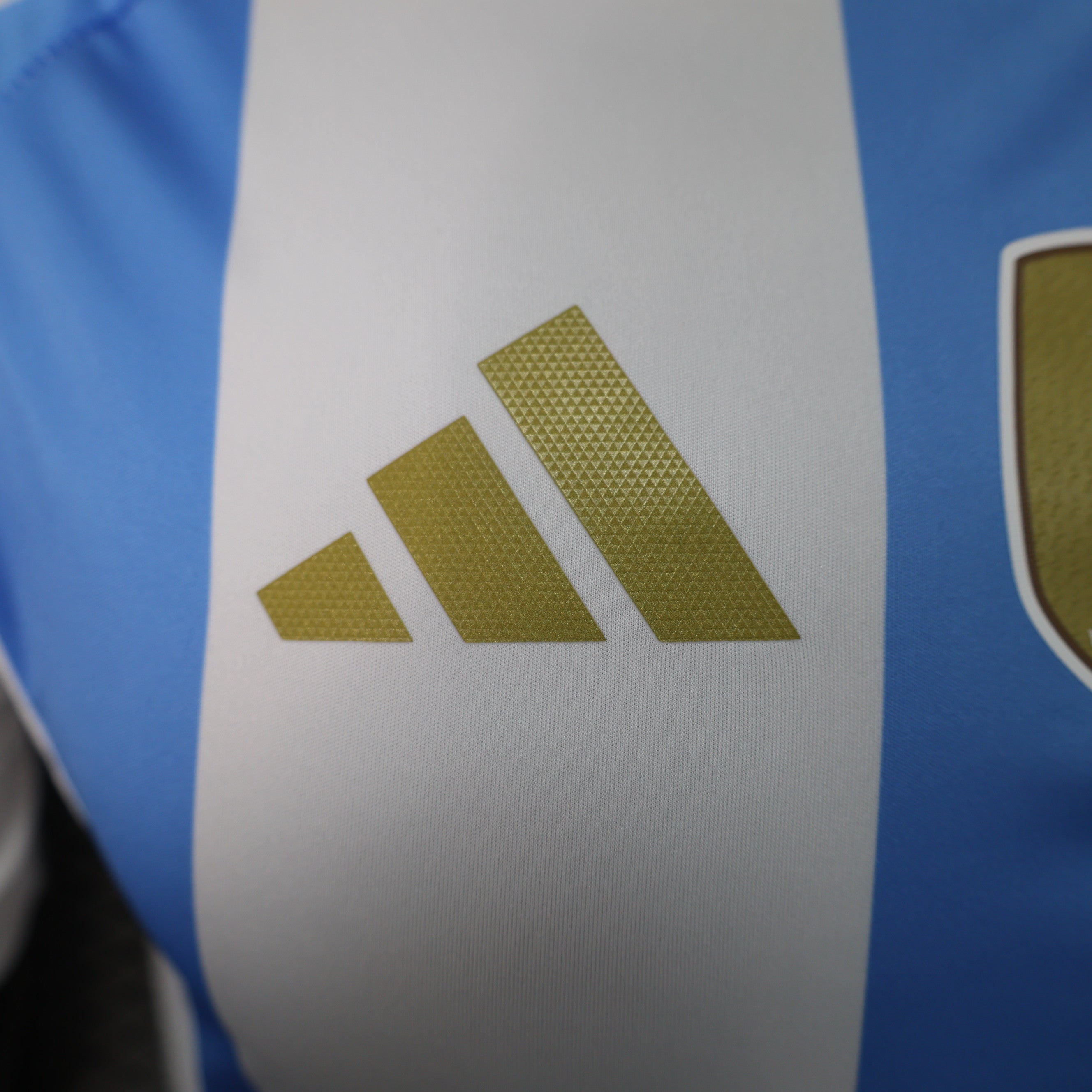 MAILLOT ARGENTINE DOMICILE PLAYER 2024/2025