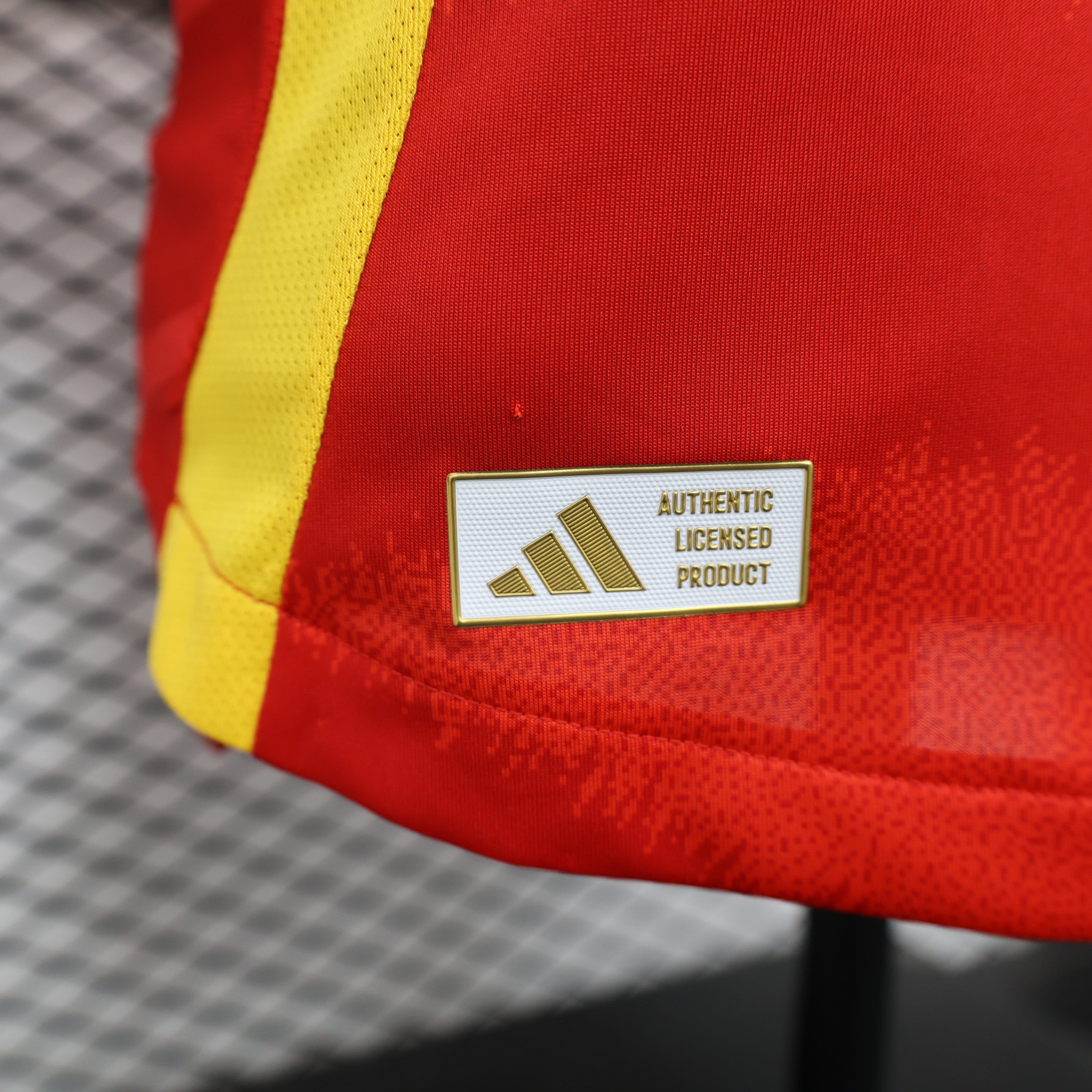 MAILLOT ESPAGNE DOMICILE PLAYER 2024/2025