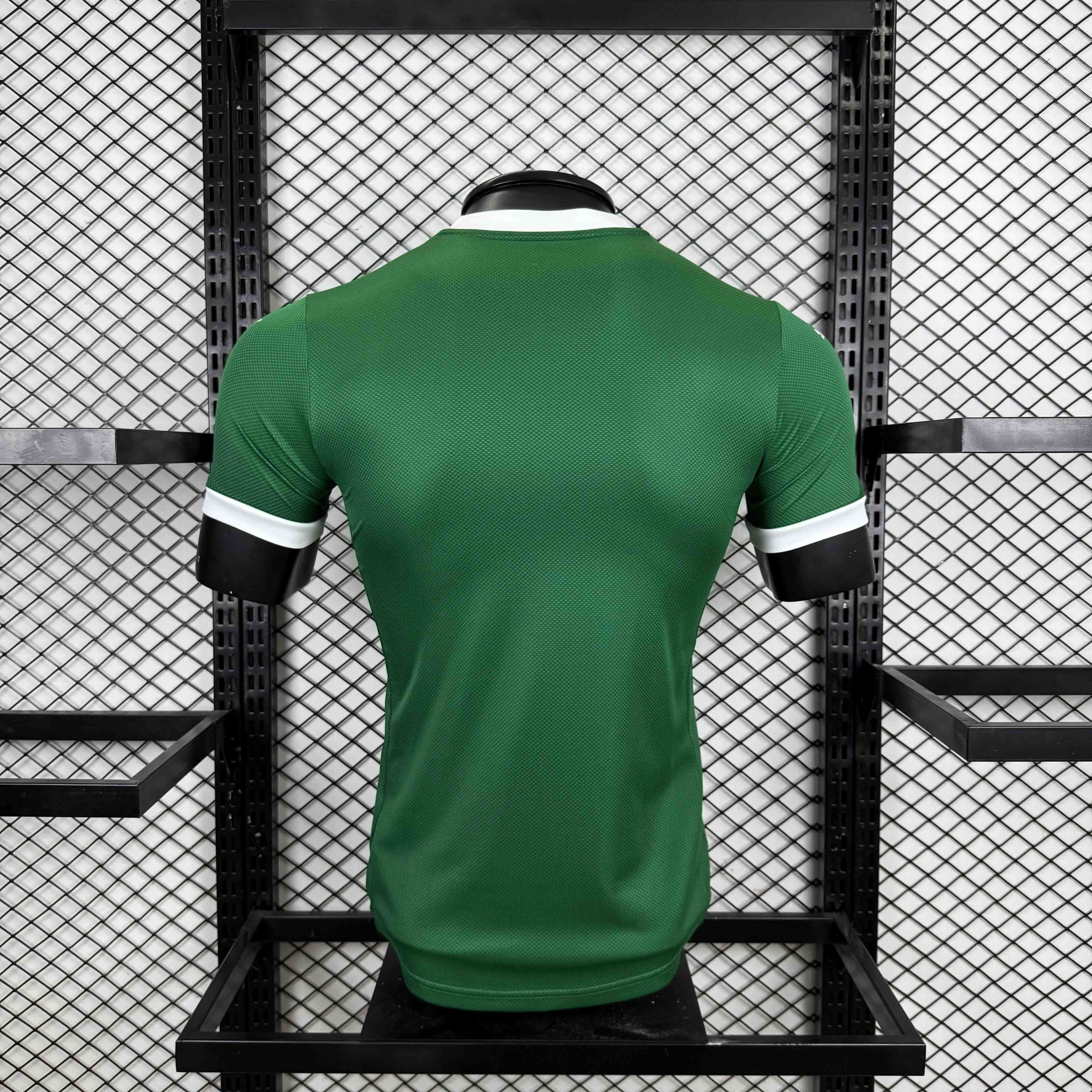 MAILLOT PALMEIRAS DOMICILE PLAYER 2025/2026