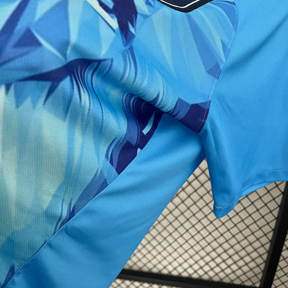 MAILLOT PAYS-BAS CONCEPT FAN 2024/2025