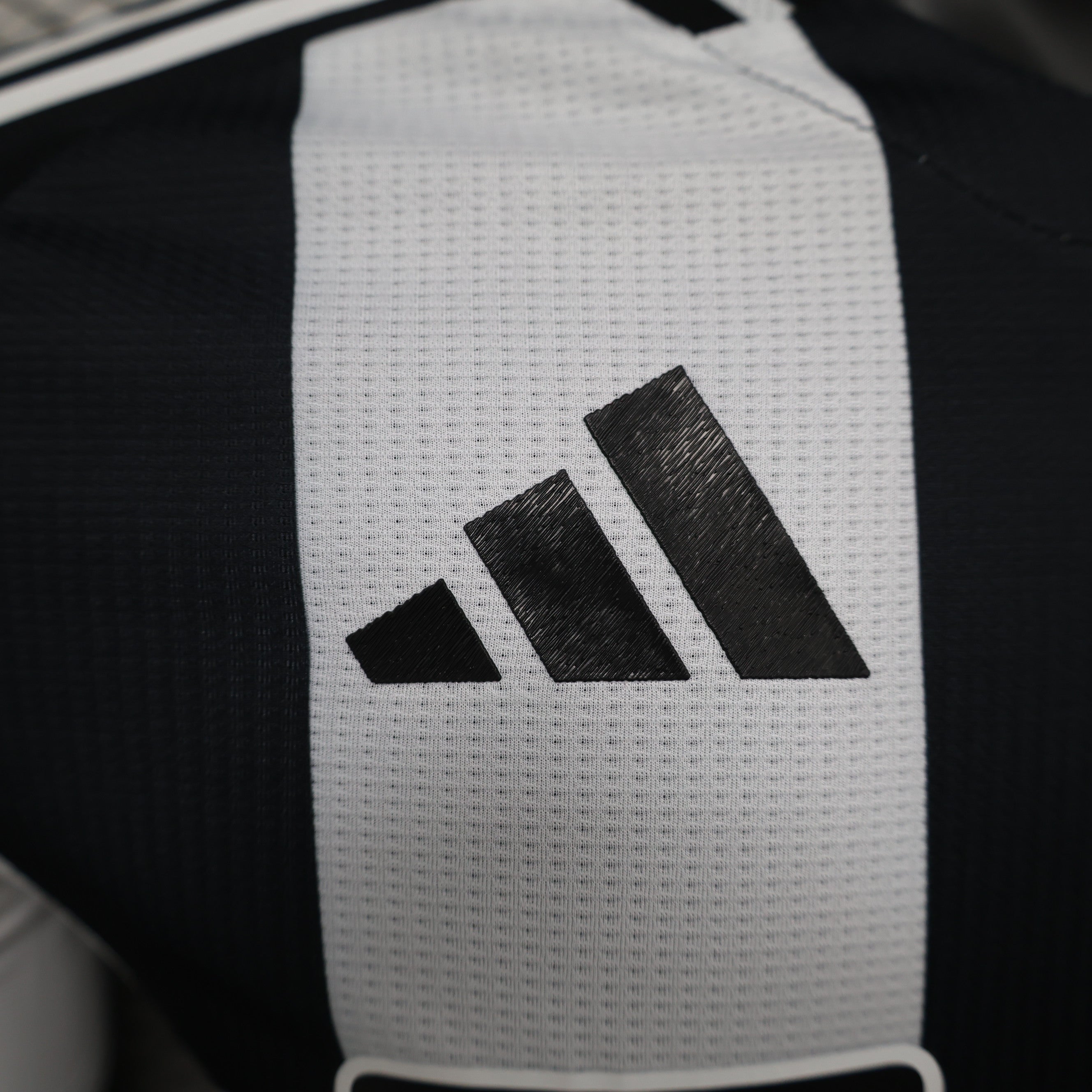 MAILLOT NEWCASTLE DOMICILE PLAYER 2024/2025