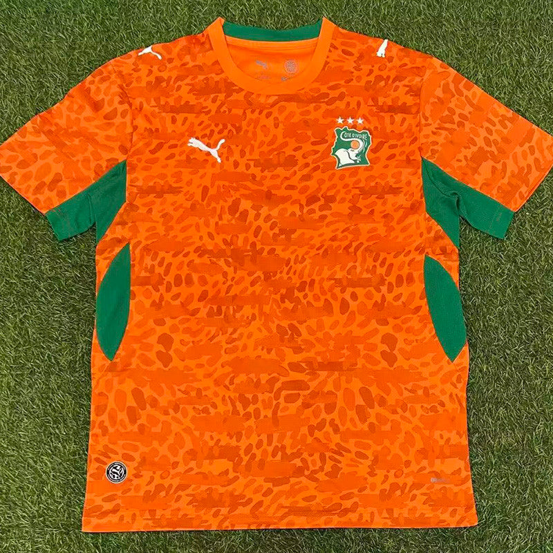MAILLOT CÔTE D’IVOIRE DOMICILE FAN 2025/2026