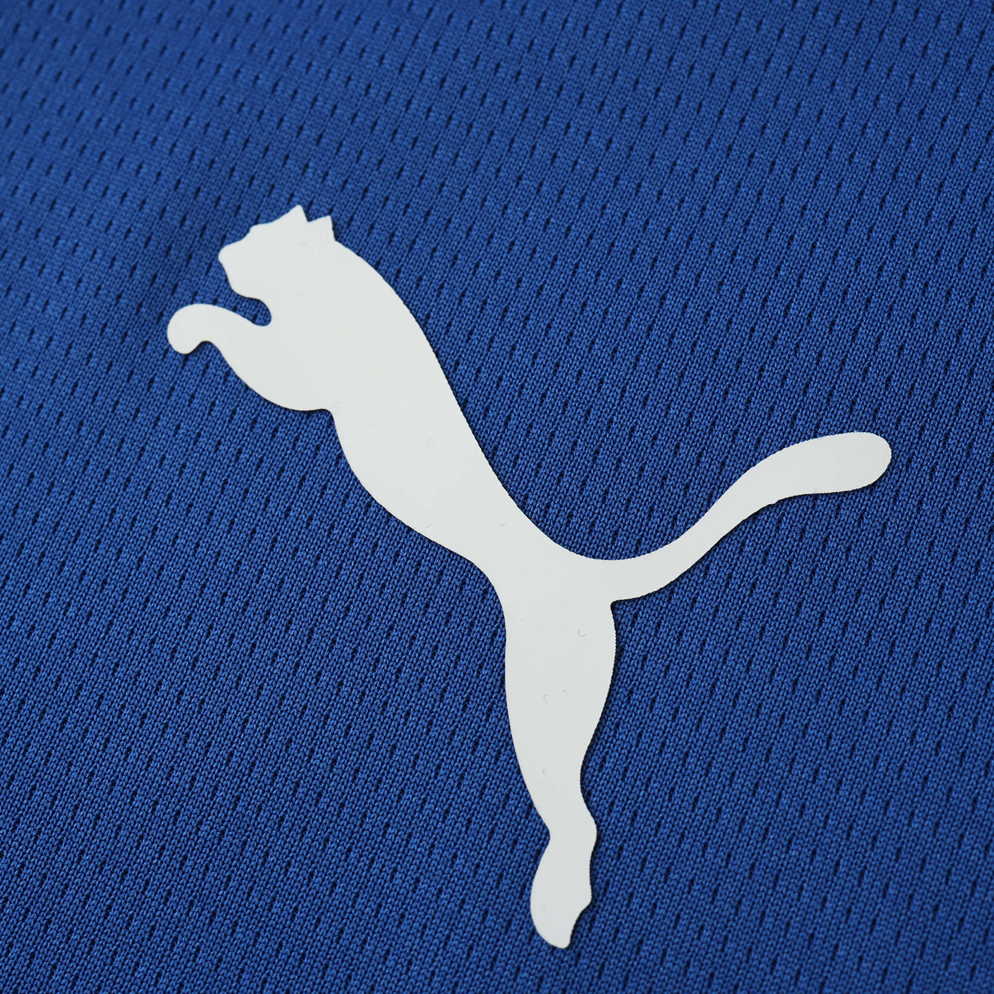 MAILLOT AL HILAL CONCEPT FAN 2024/2025