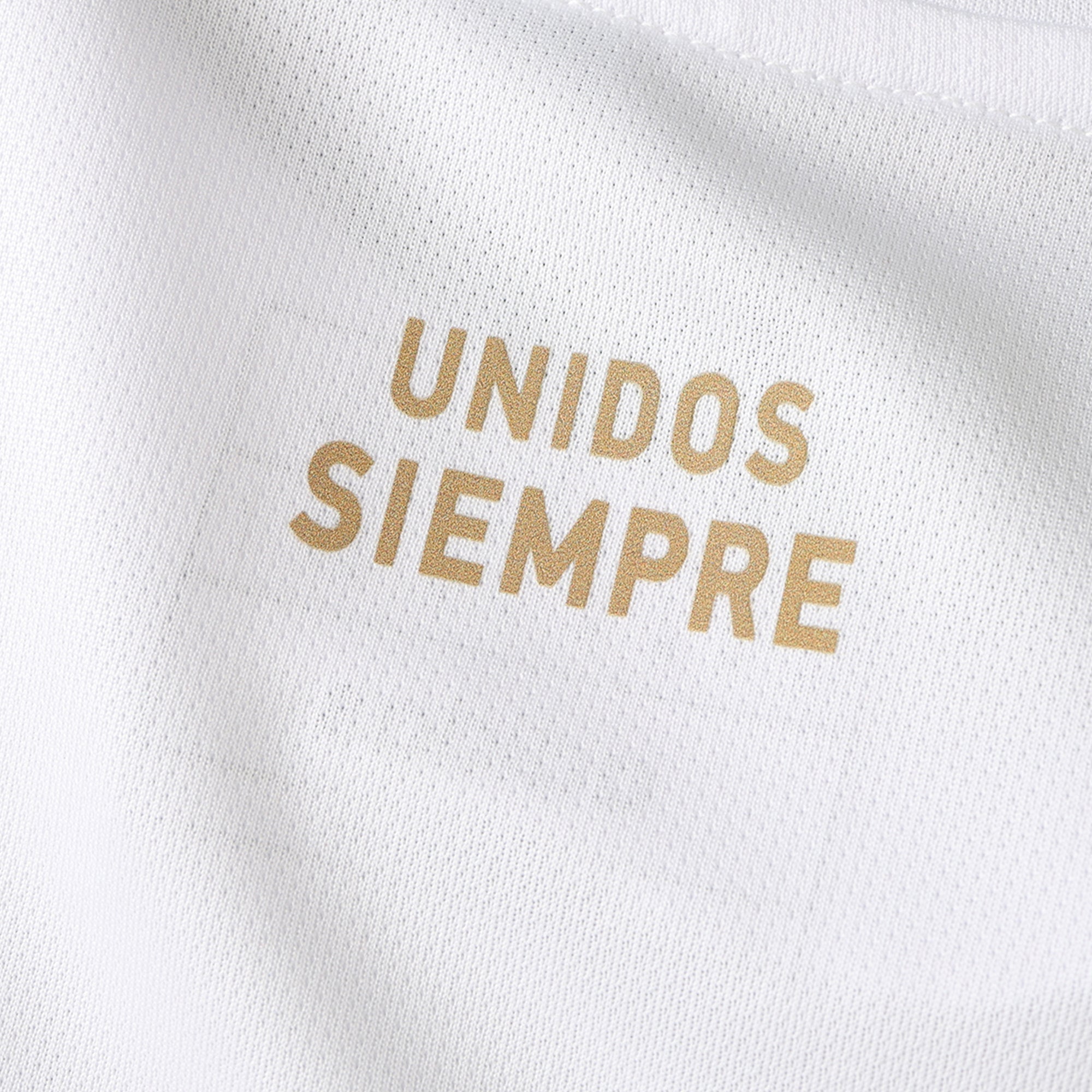 MAILLOT PÉROU DOMICILE VERSION FAN 2024/2025