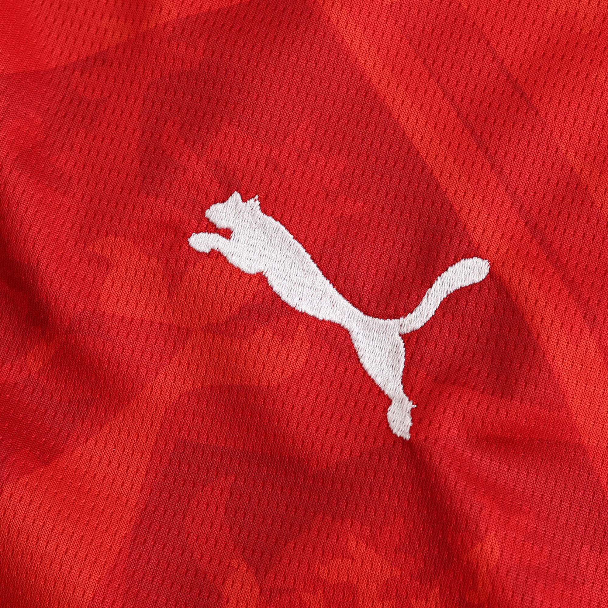 MAILLOT RÉPUBLIQUE TCHÈQUE DOMICILE FAN 2024/2025