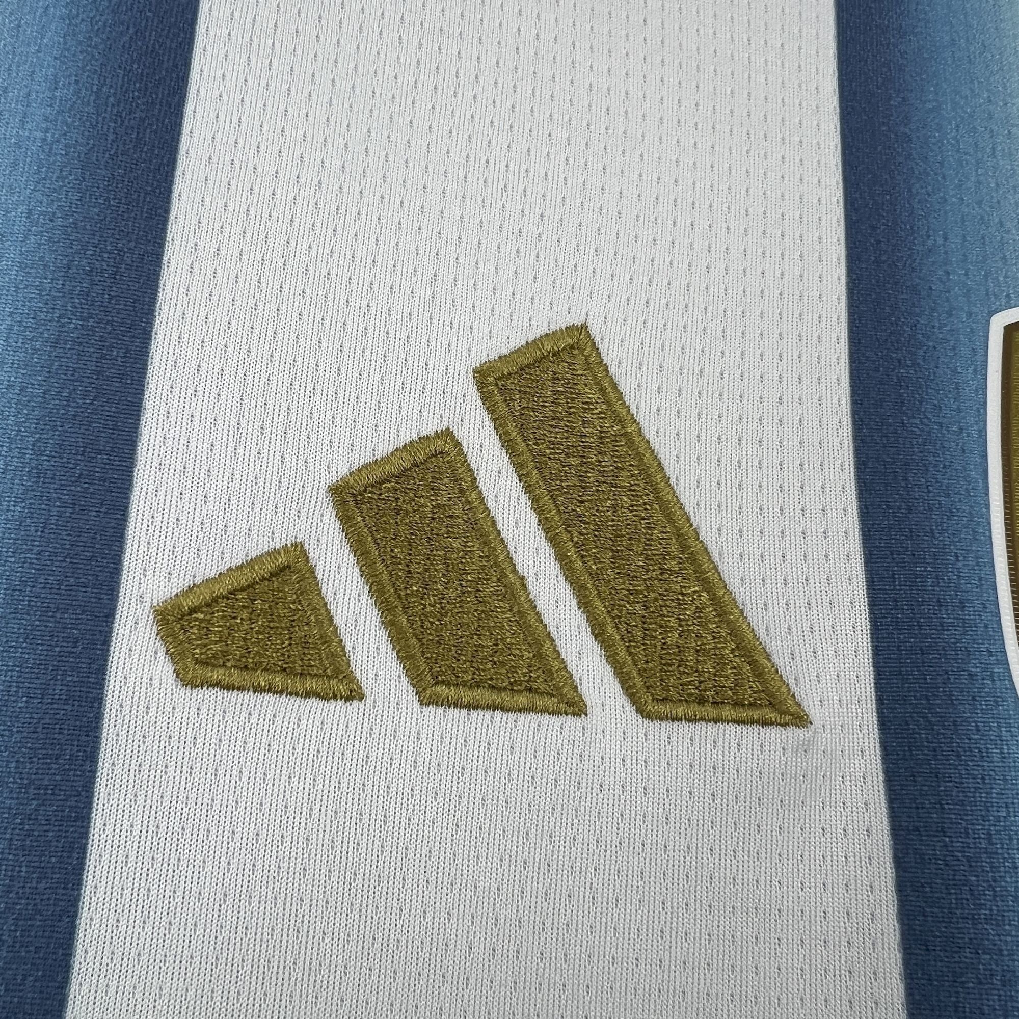 MAILLOT ARGENTINE DOMICILE FAN COUPE DU MONDE 2026
