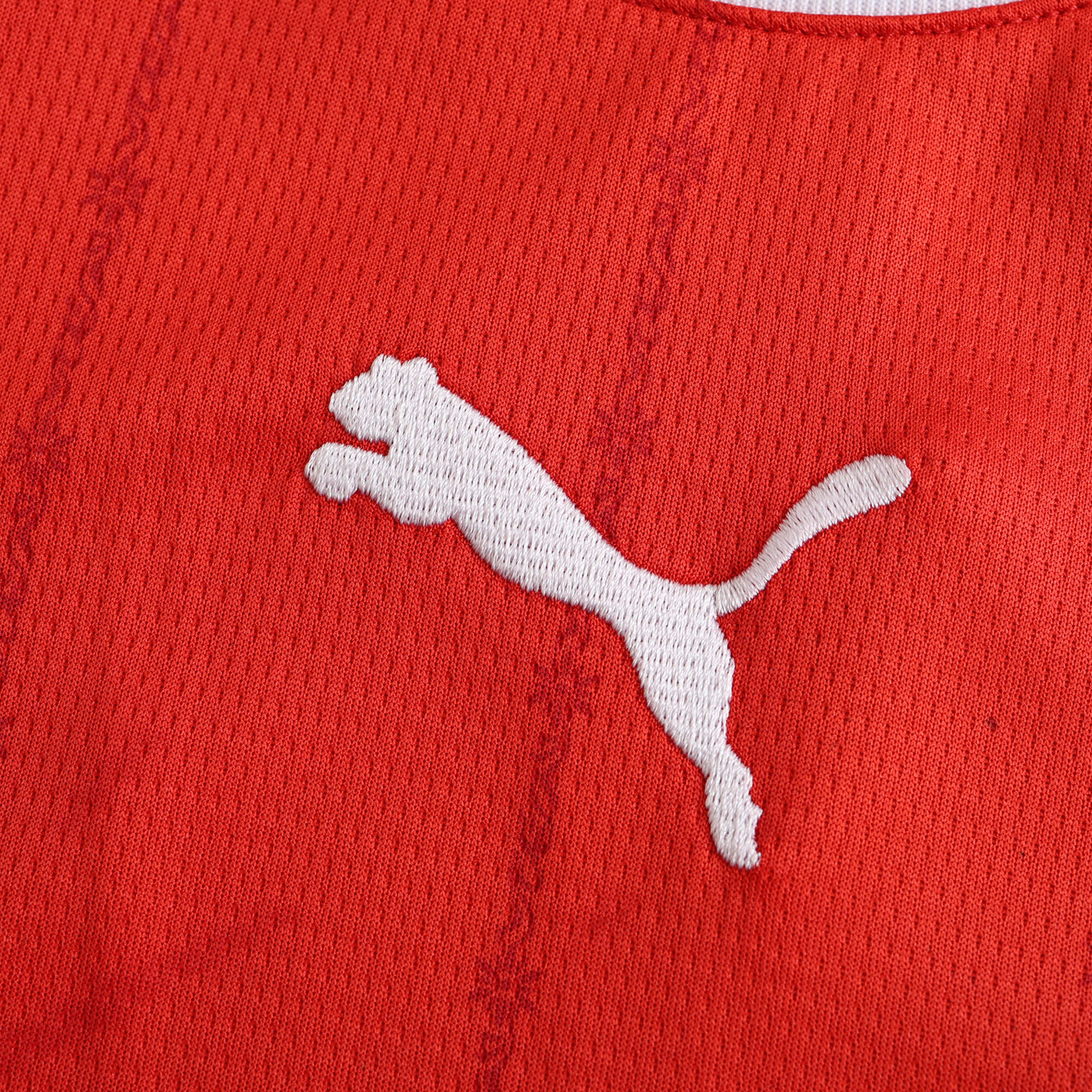 MAILLOT SUISSE DOMICILE FAN 2024/2025
