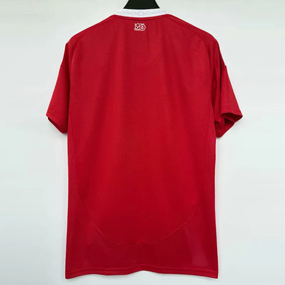 MAILLOT INTERNACIONAL DOMICILE FAN 2025/2026