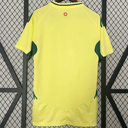 MAILLOT PAYS DE GALLES EXTERIEUR FAN 2024/2025
