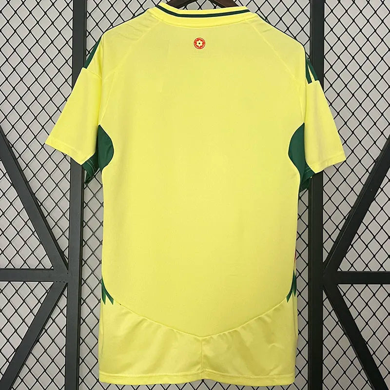 MAILLOT PAYS DE GALLES EXTERIEUR FAN 2024/2025