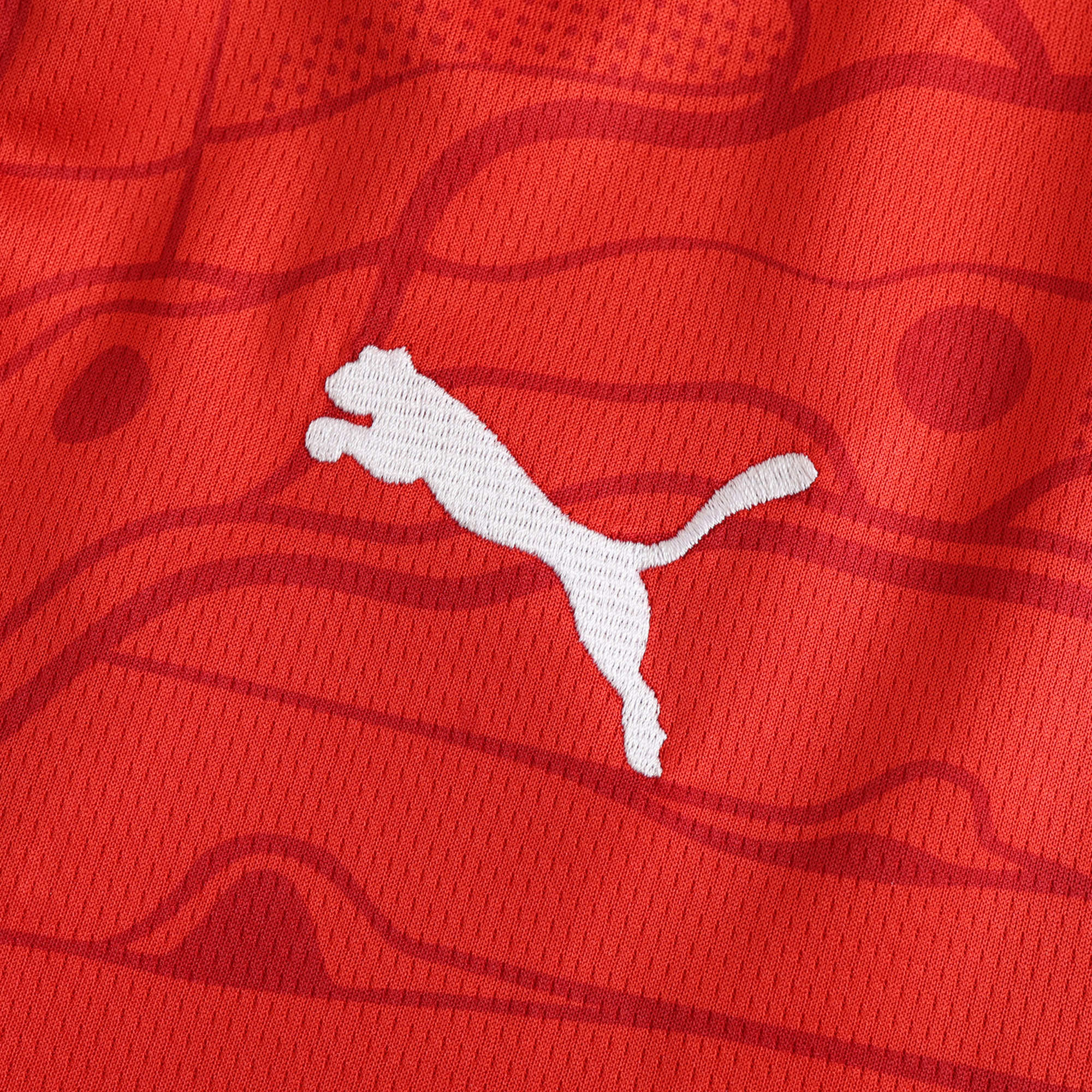 MAILLOT AUTRICHE DOMICILE FAN 2024/2025
