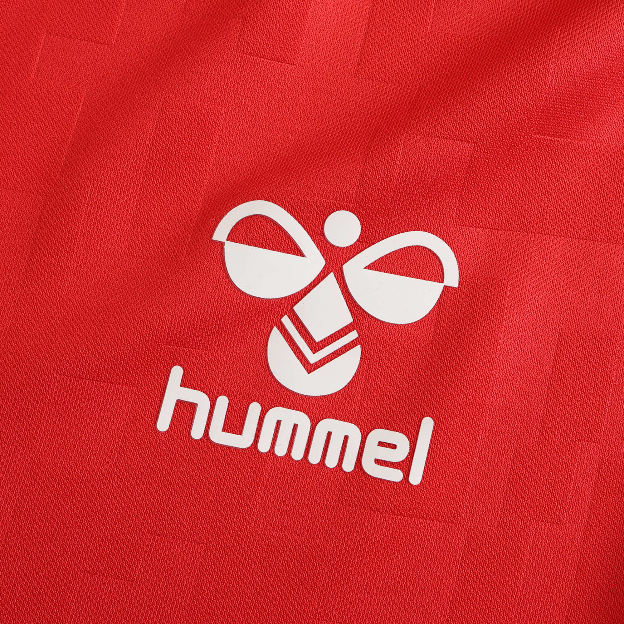 MAILLOT DANEMARK DOMICILE FAN 2024/2025