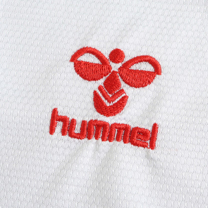 MAILLOT DANEMARK EXTERIEUR FAN 2024/2025