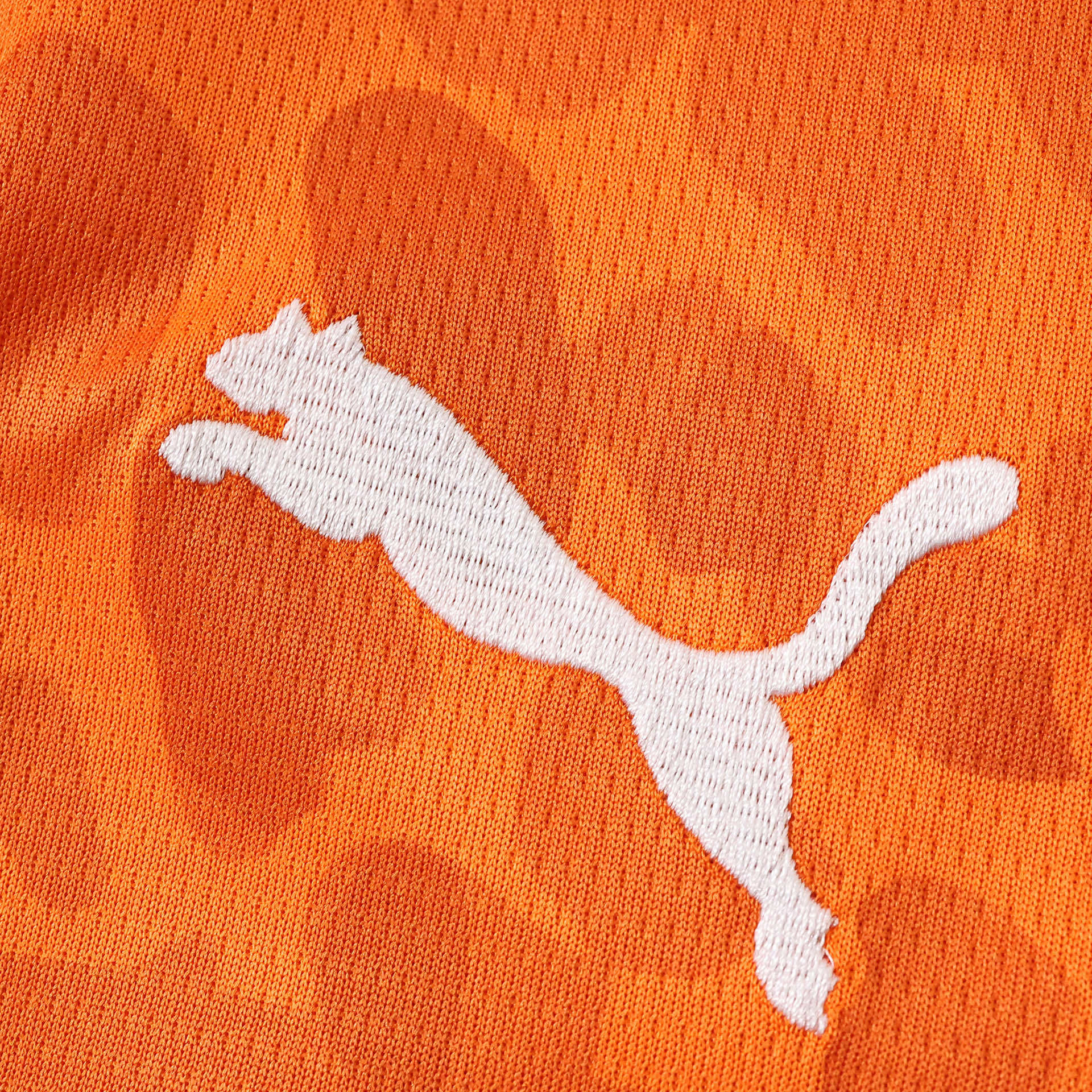 MAILLOT CÔTE D'IVOIRE DOMICILE FAN COUPE DU MONDE 2026