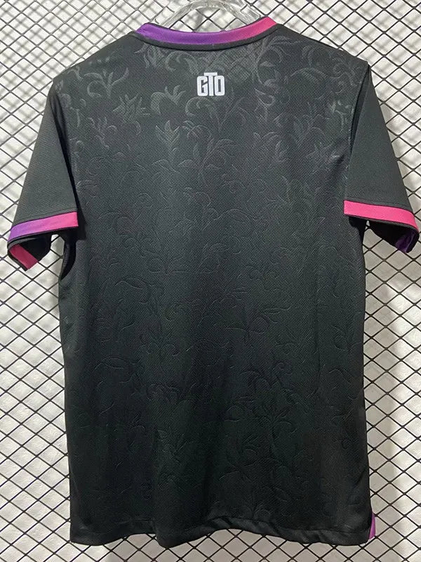 MAILLOT PSG ENTRAINEMENT FAN 2024/2025