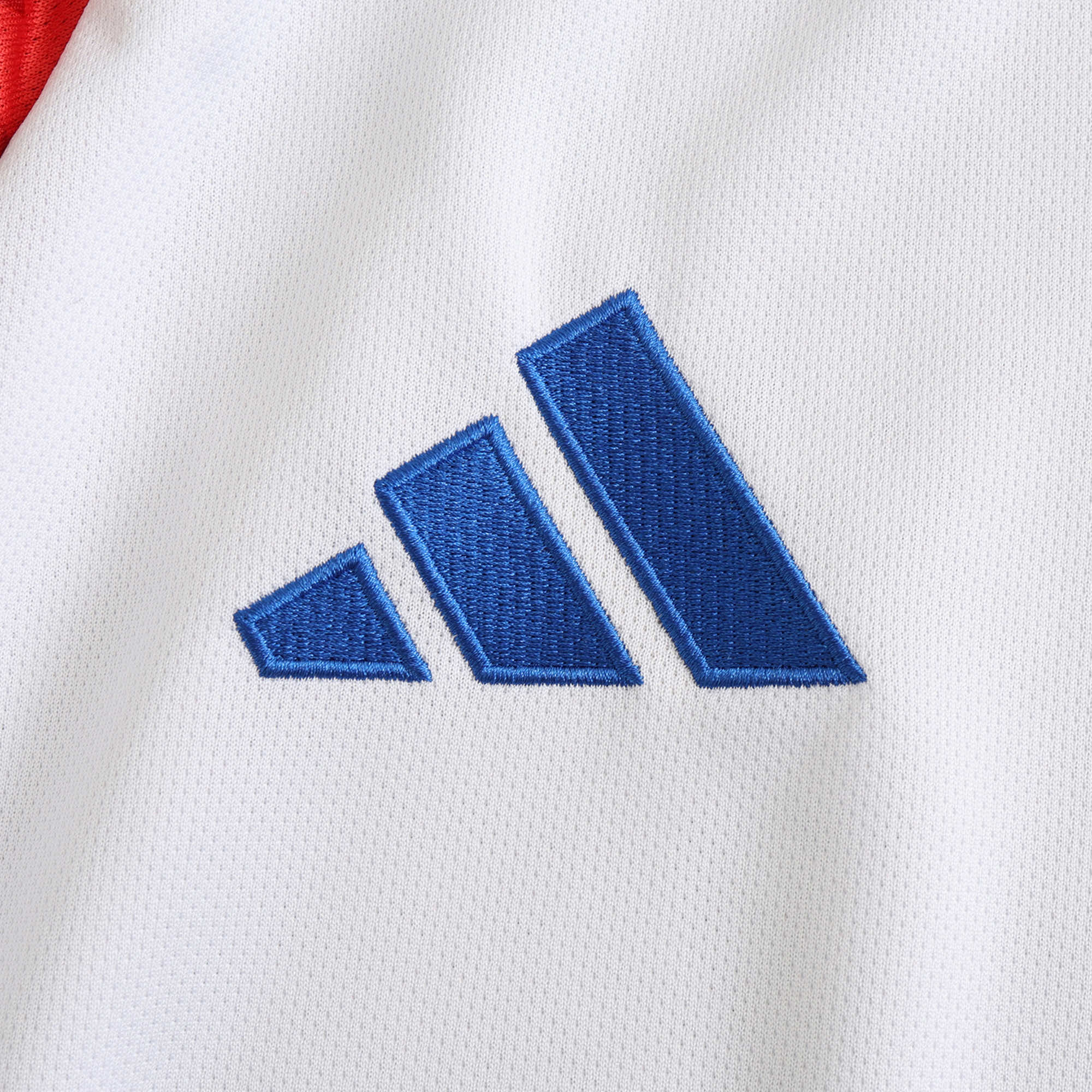 MAILLOT CHILI EXTERIEUR VERSION FAN 2024/2025