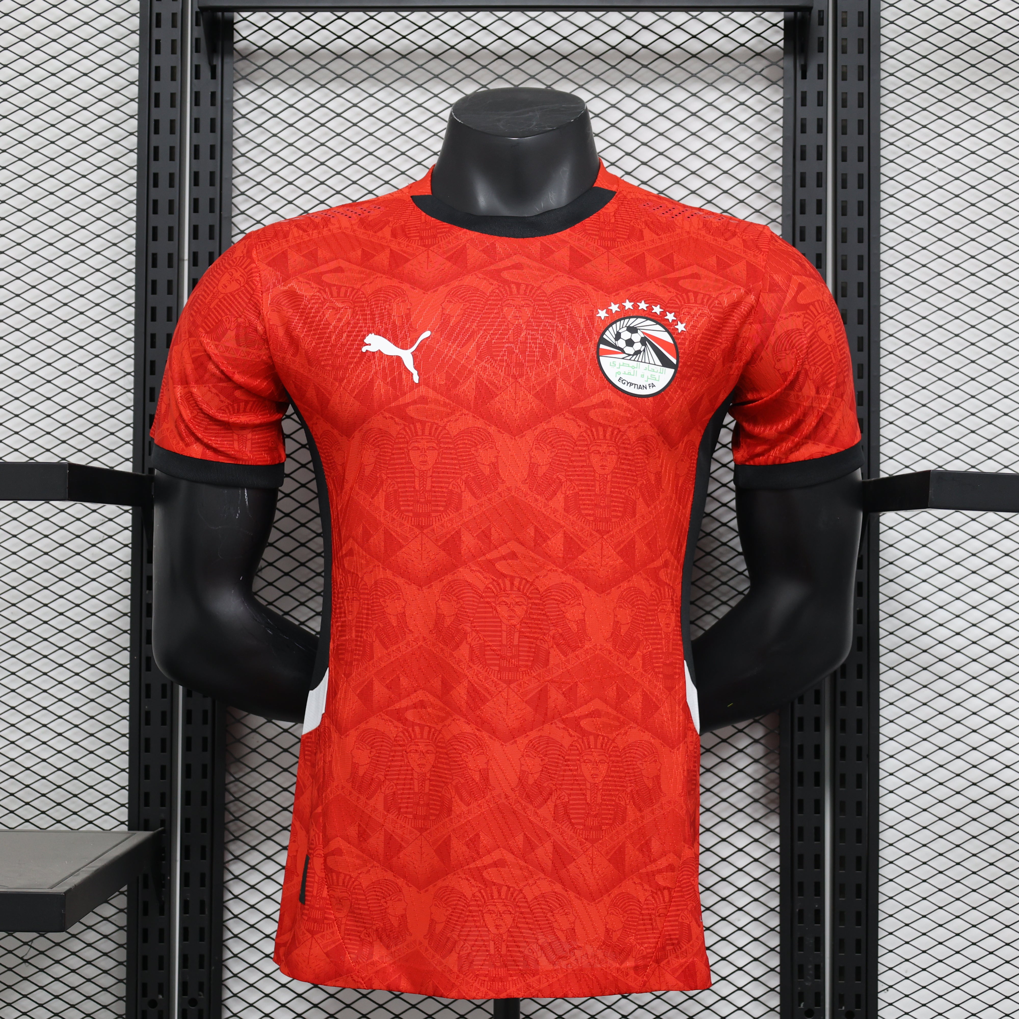 MAILLOT ÉGYPTE DOMICILE PLAYER 2024/2025