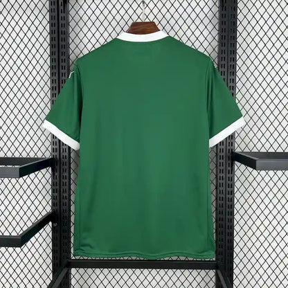 MAILLOT PALMEIRAS DOMICILE FAN 2025/2026