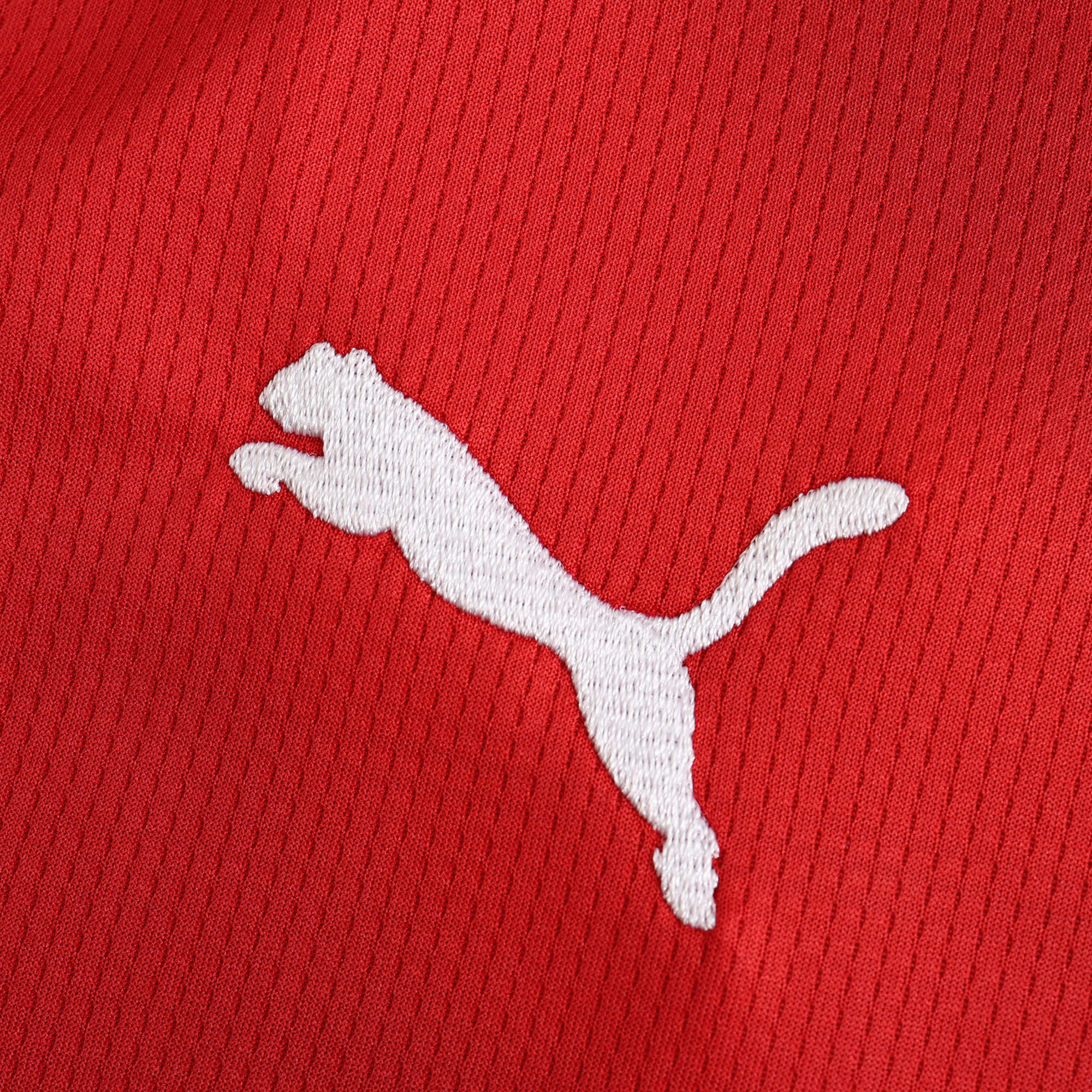 MAILLOT SERBIE DOMICILE FAN 2024/2025