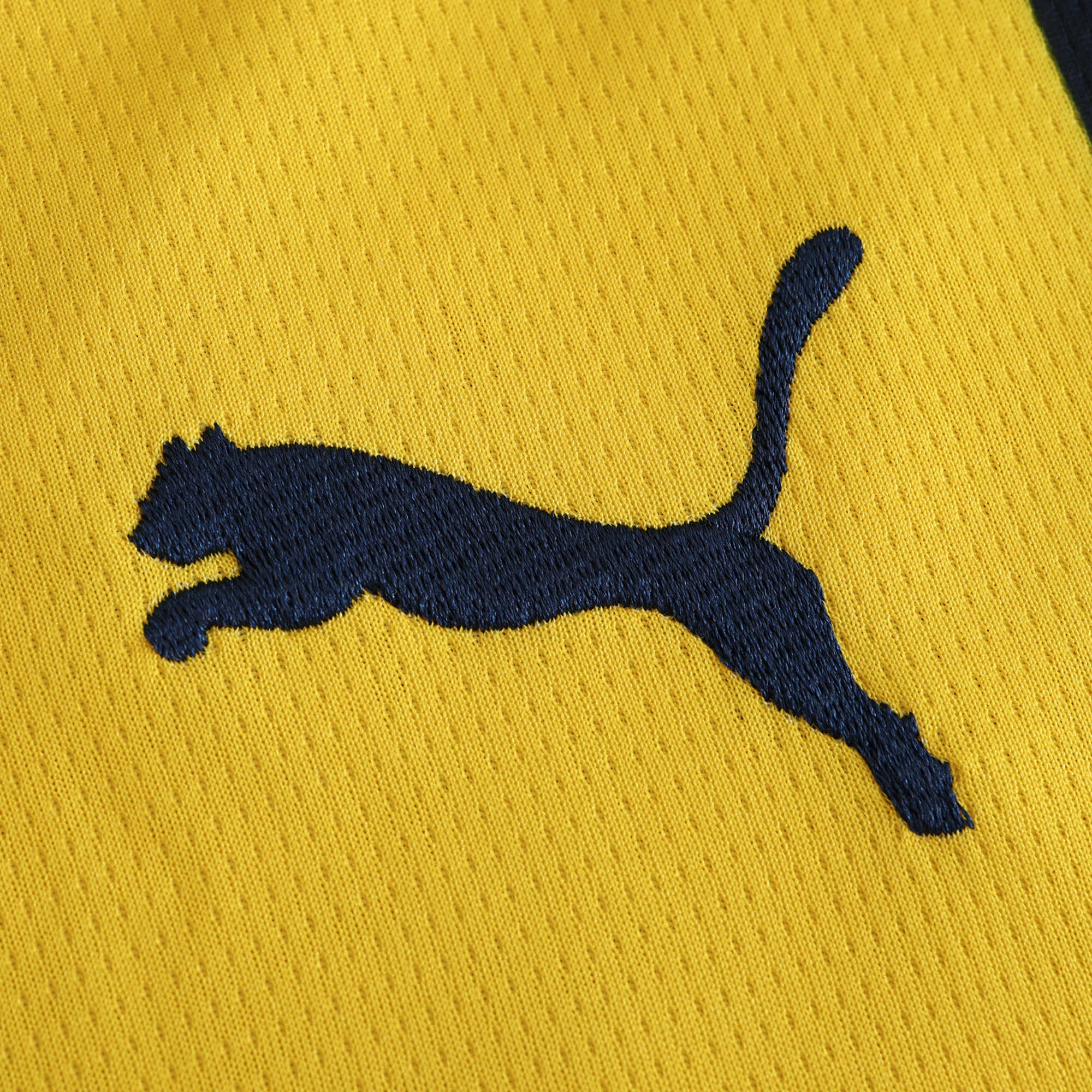 MAILLOT FENERBAHÇE DOMICILE FAN 2024/2025