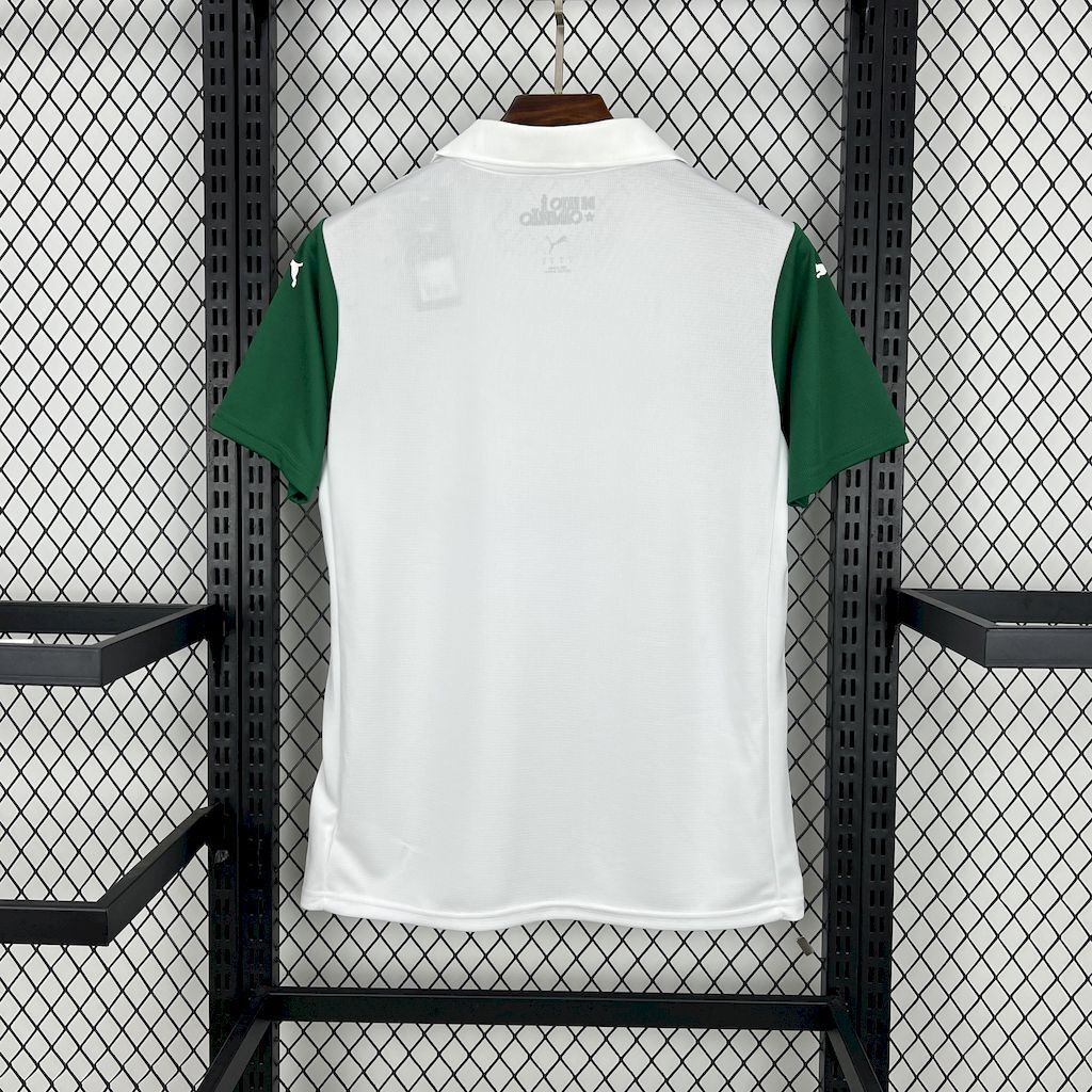 MAILLOT PALMEIRAS EXTERIEUR FAN 2025/2026