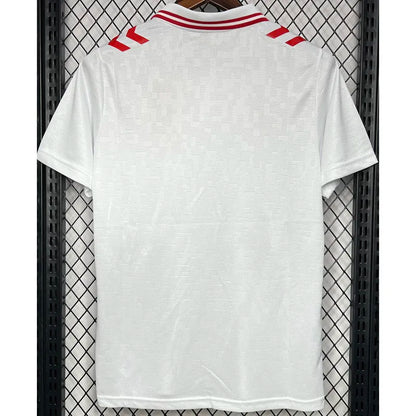 MAILLOT DANEMARK EXTERIEUR FAN 2024/2025