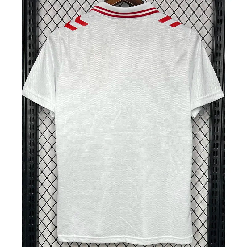 MAILLOT DANEMARK EXTERIEUR FAN 2024/2025
